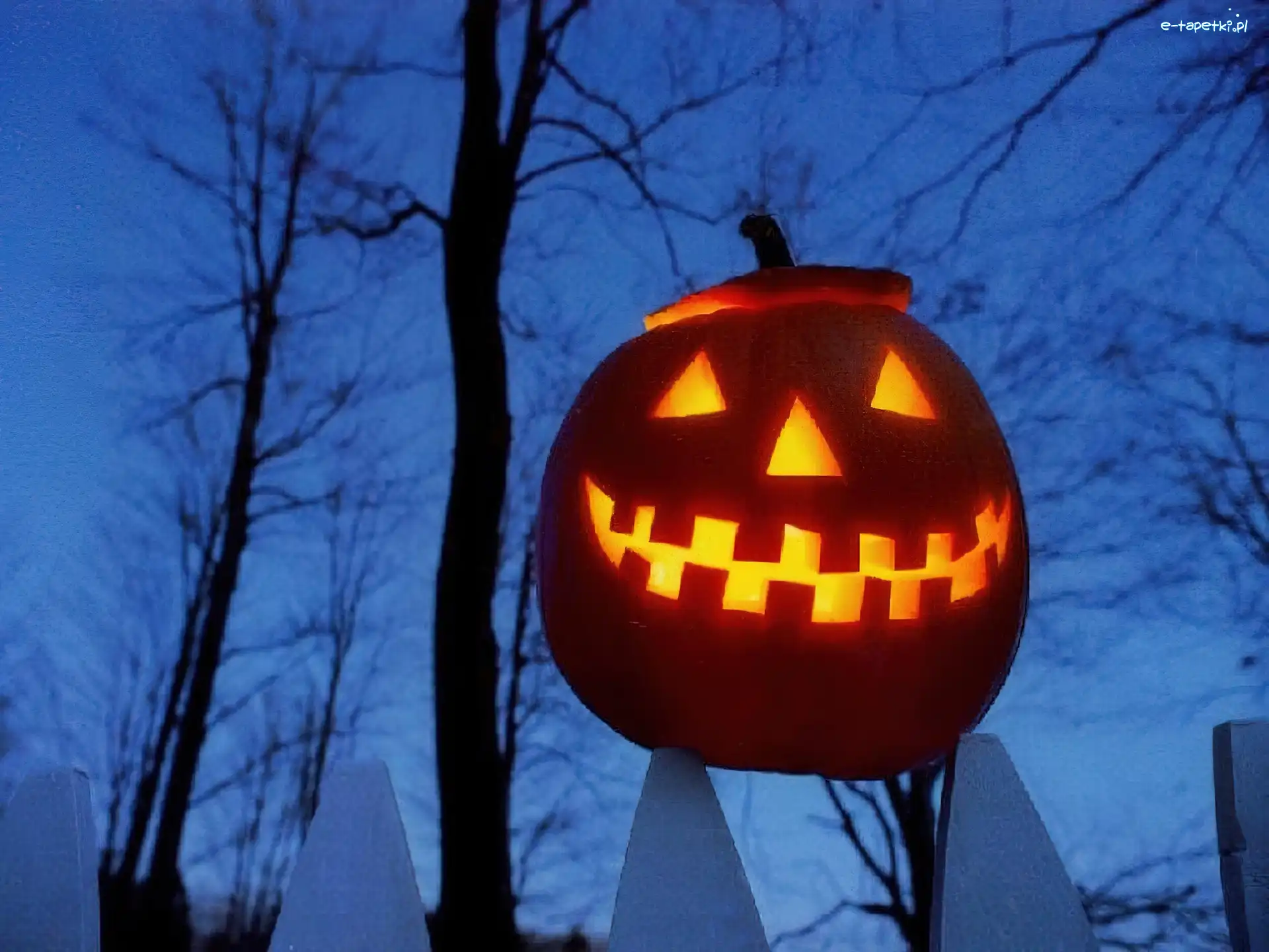 dynia, Halloween