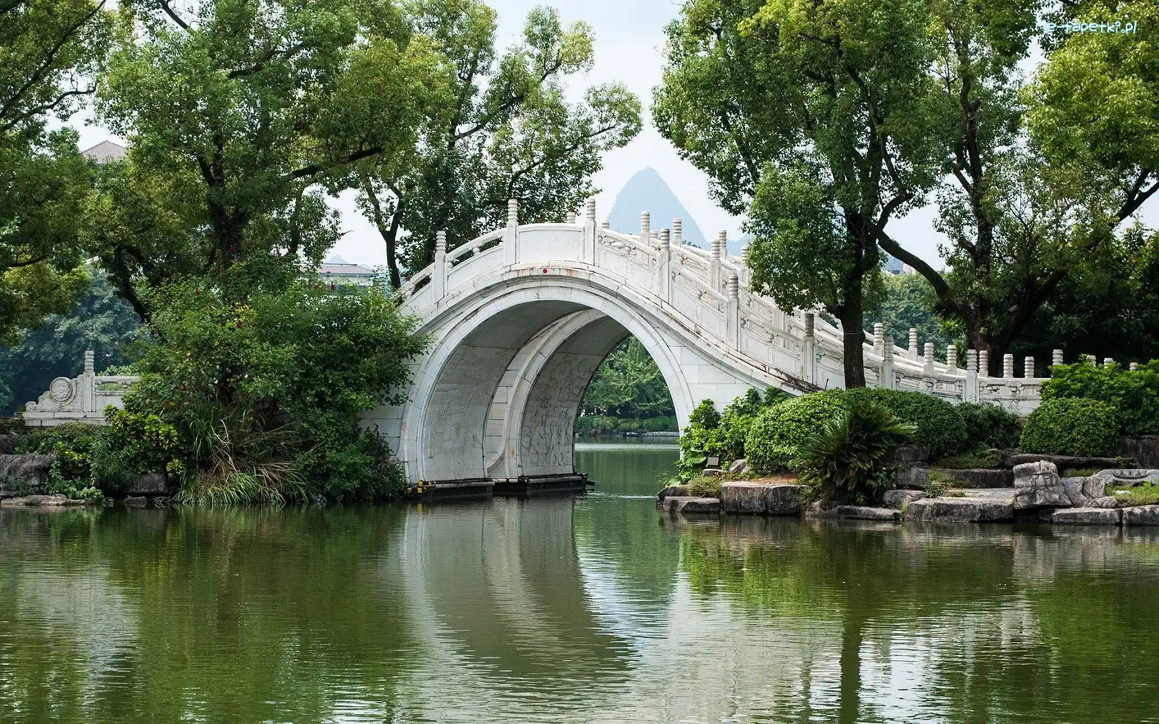 Park, Mostek, Biały, Ogród