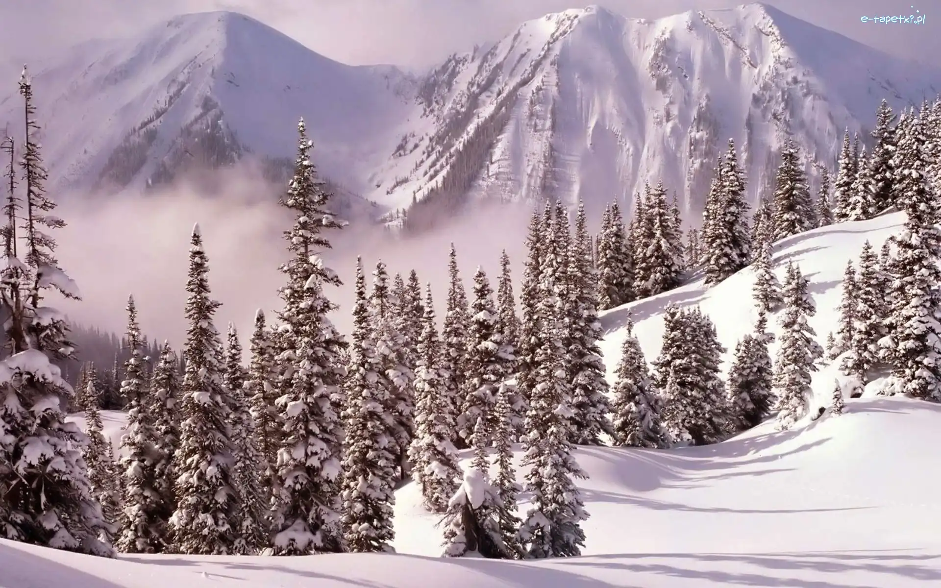 Las, Góry, Śnieg
