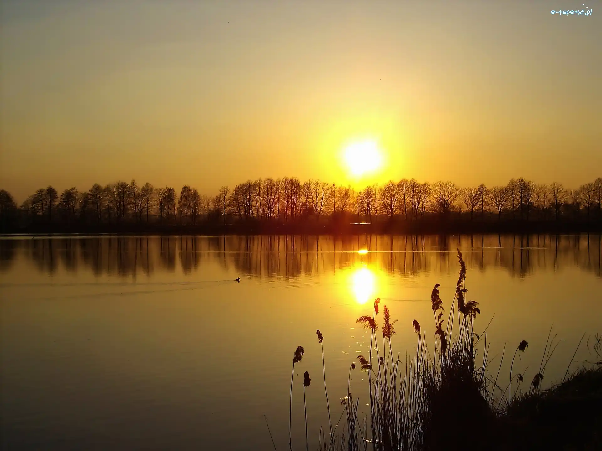Jezioro, Słońca, Zachód