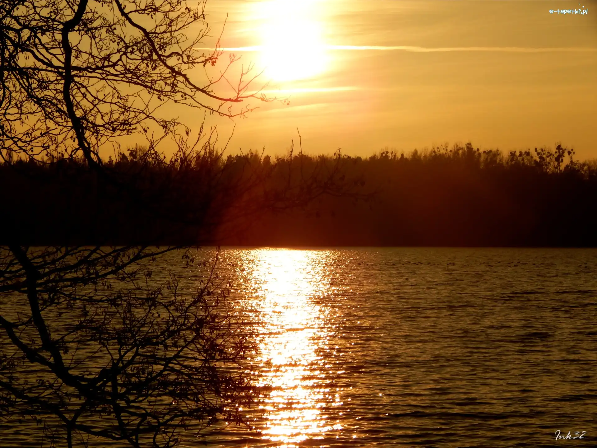 Zachód, Gałęzie, Słońca, Jezioro
