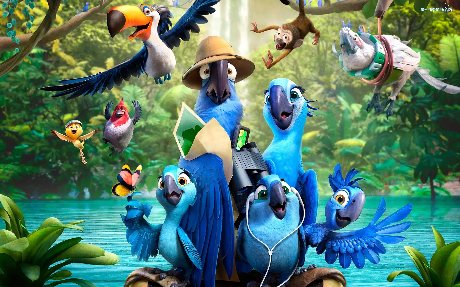 Ptaki, Woda, Rośliny, Rio2