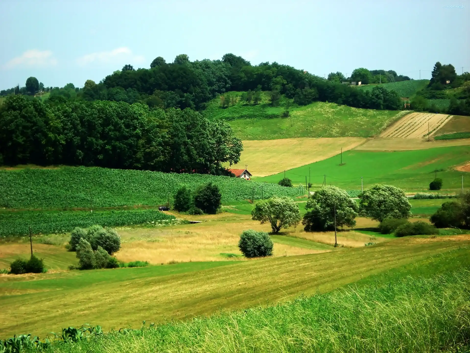 Pola, Lasy, Wzgórza