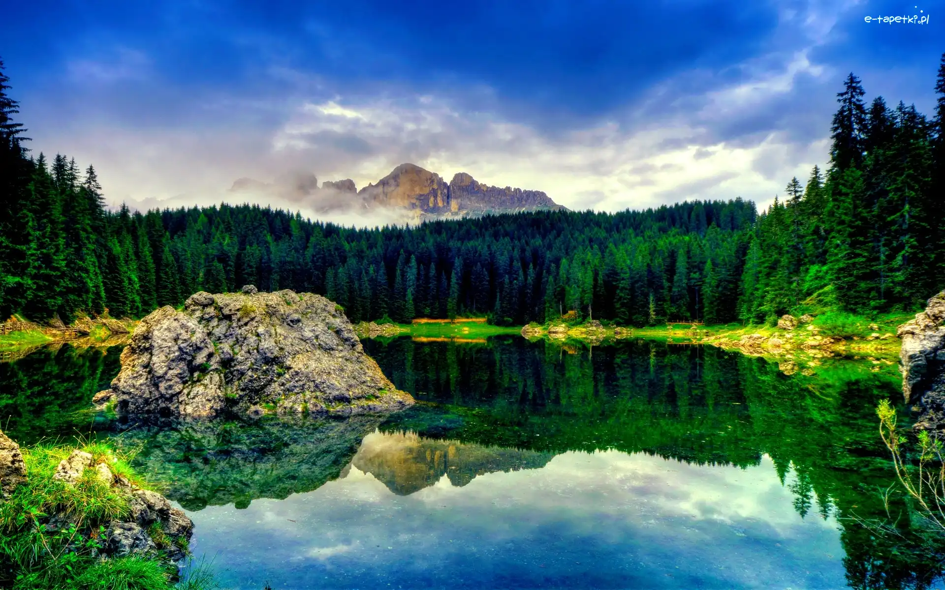 Sosnowy, Las, Jezioro