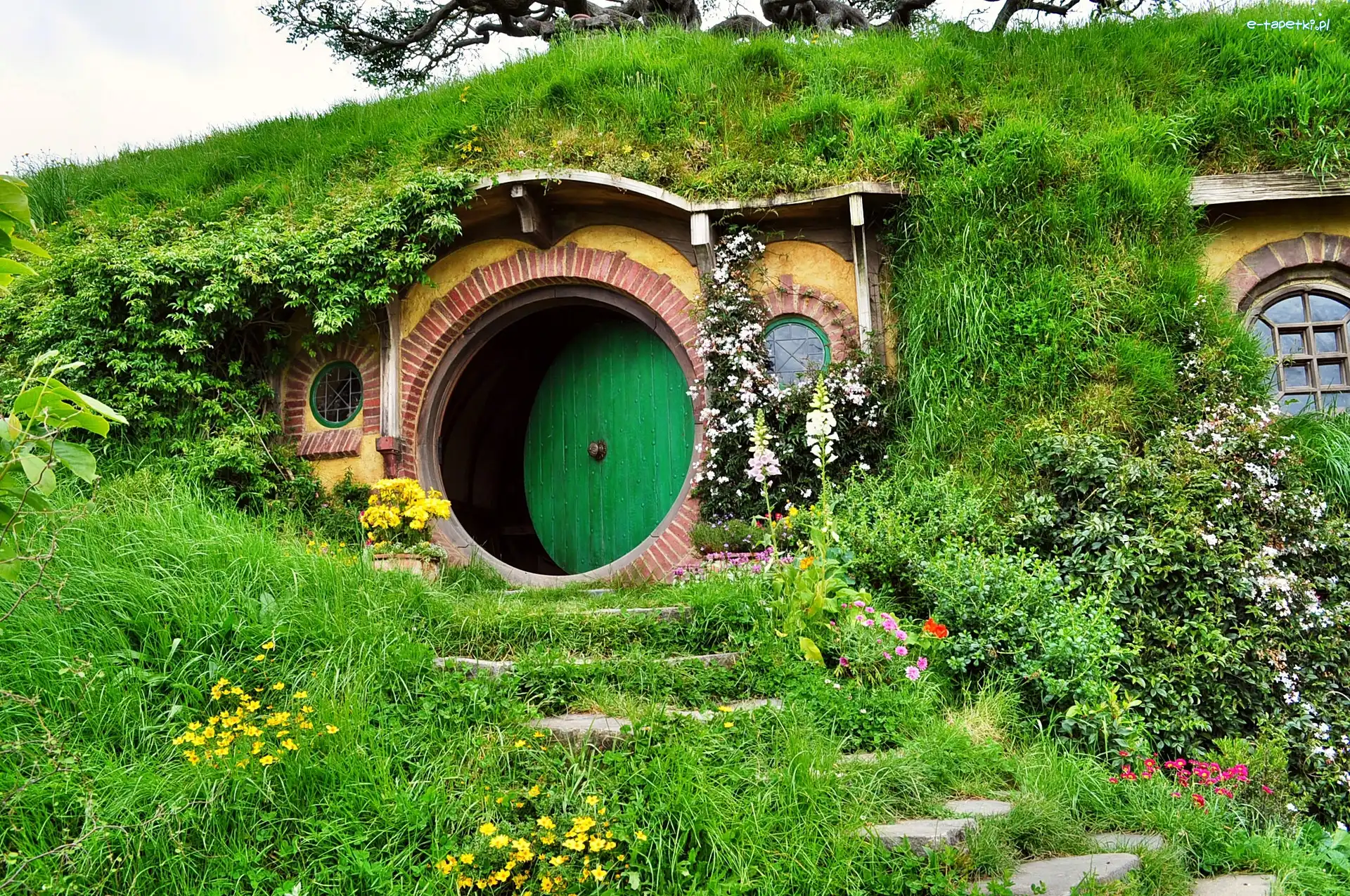 Nowa Zelandia, Ogródek, Domek Hobbit