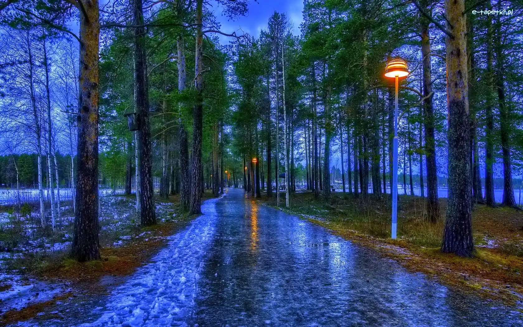 Drzewa, Lampy, Chodnik, Park
