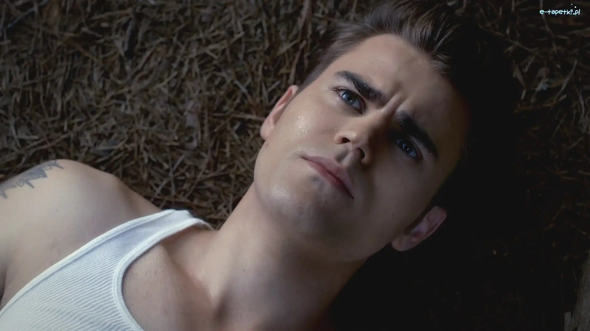 Koszulka, Paul Wesley