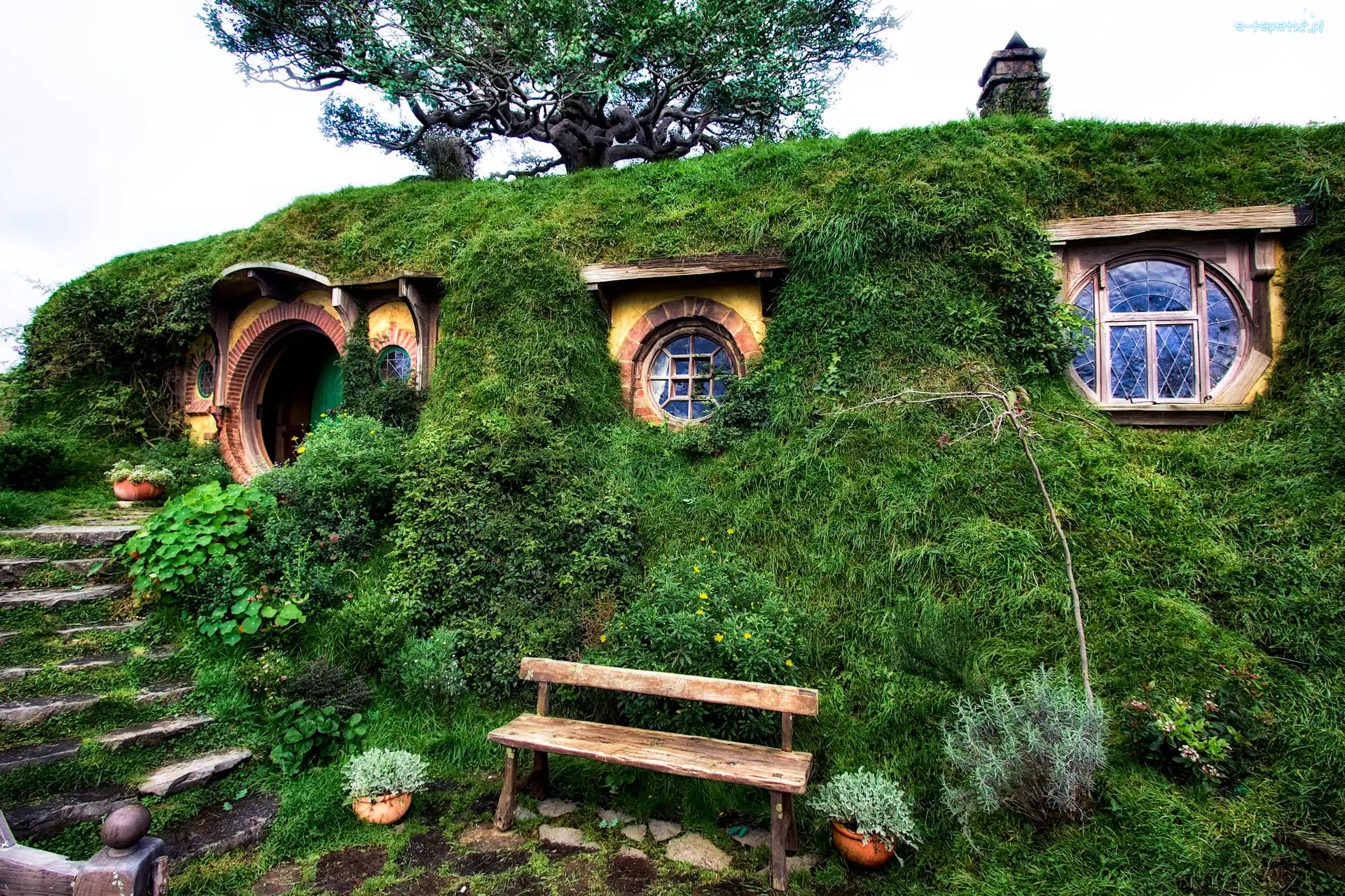 Ogród, Hobbit, Dom
