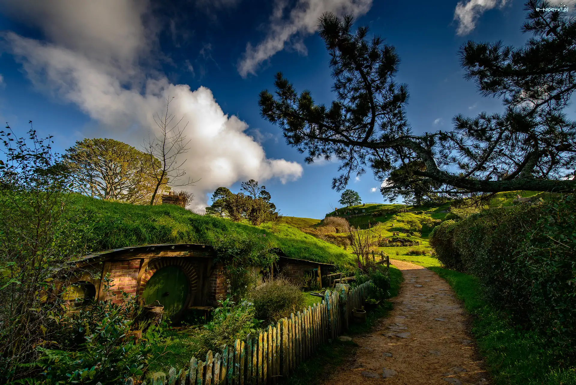 Droga, Hobbit, Domek