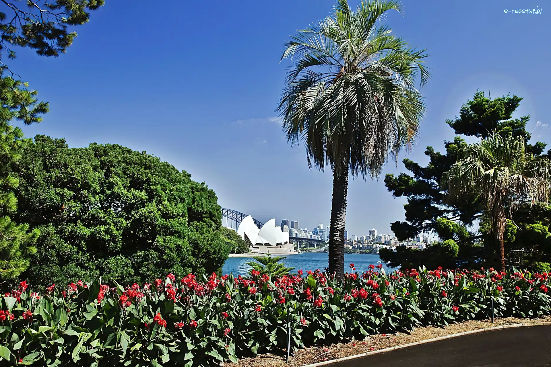 Sydney, Panorama, Park