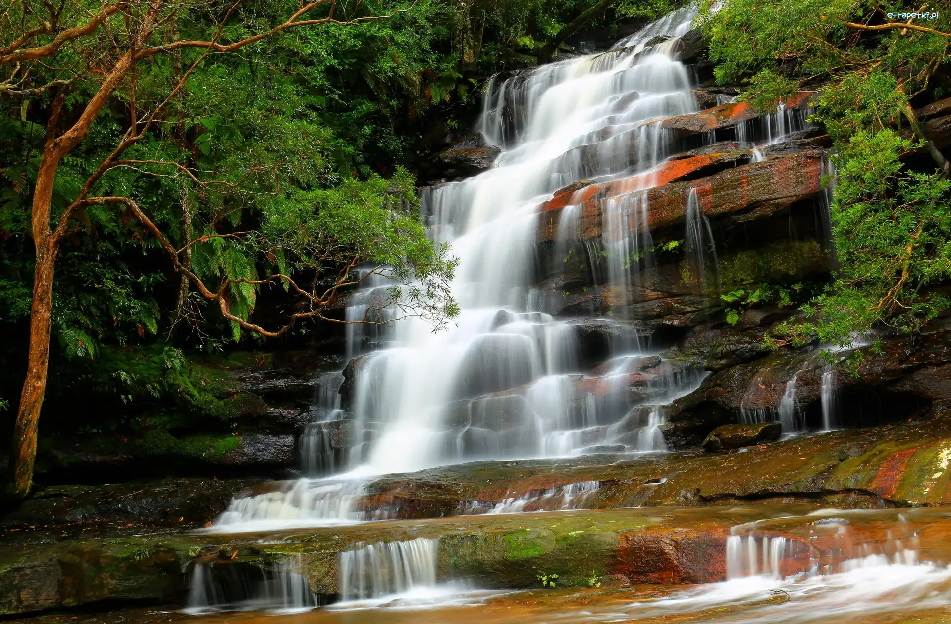 Nowa Południowa Walia, Brisbane Water National Park