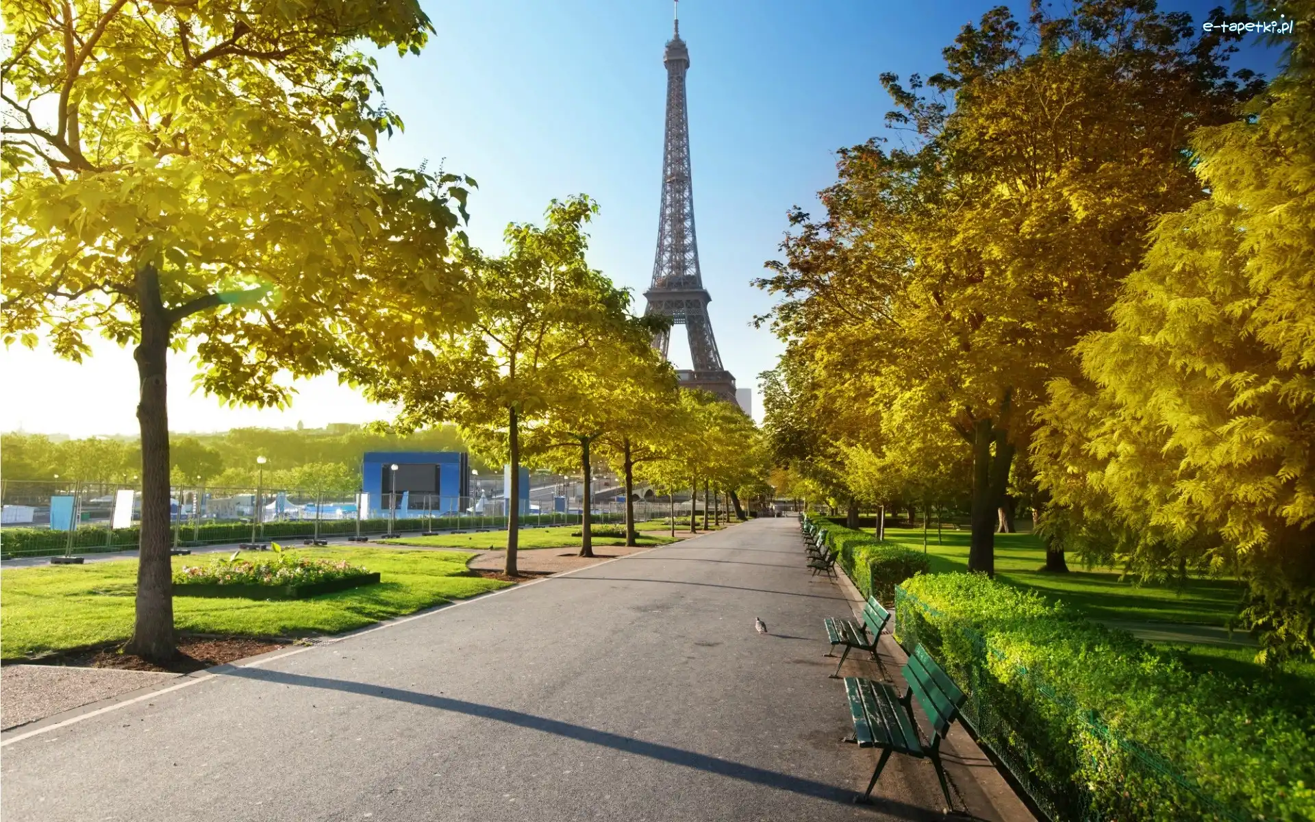 Francja, Ławki, Wieża Eiffla, Aleja, Park, Jesień, Paryż