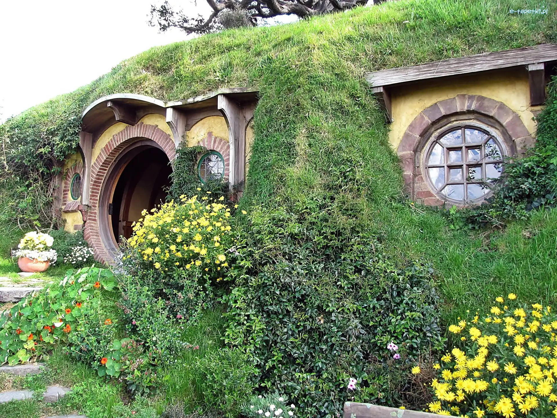 Ogródek, Hobbita, Dom