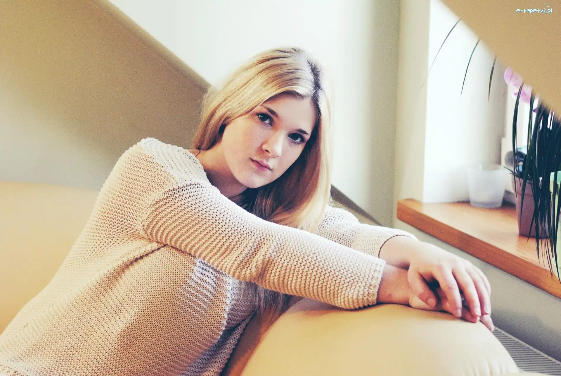 Sweter, Blondynka, Kobieta