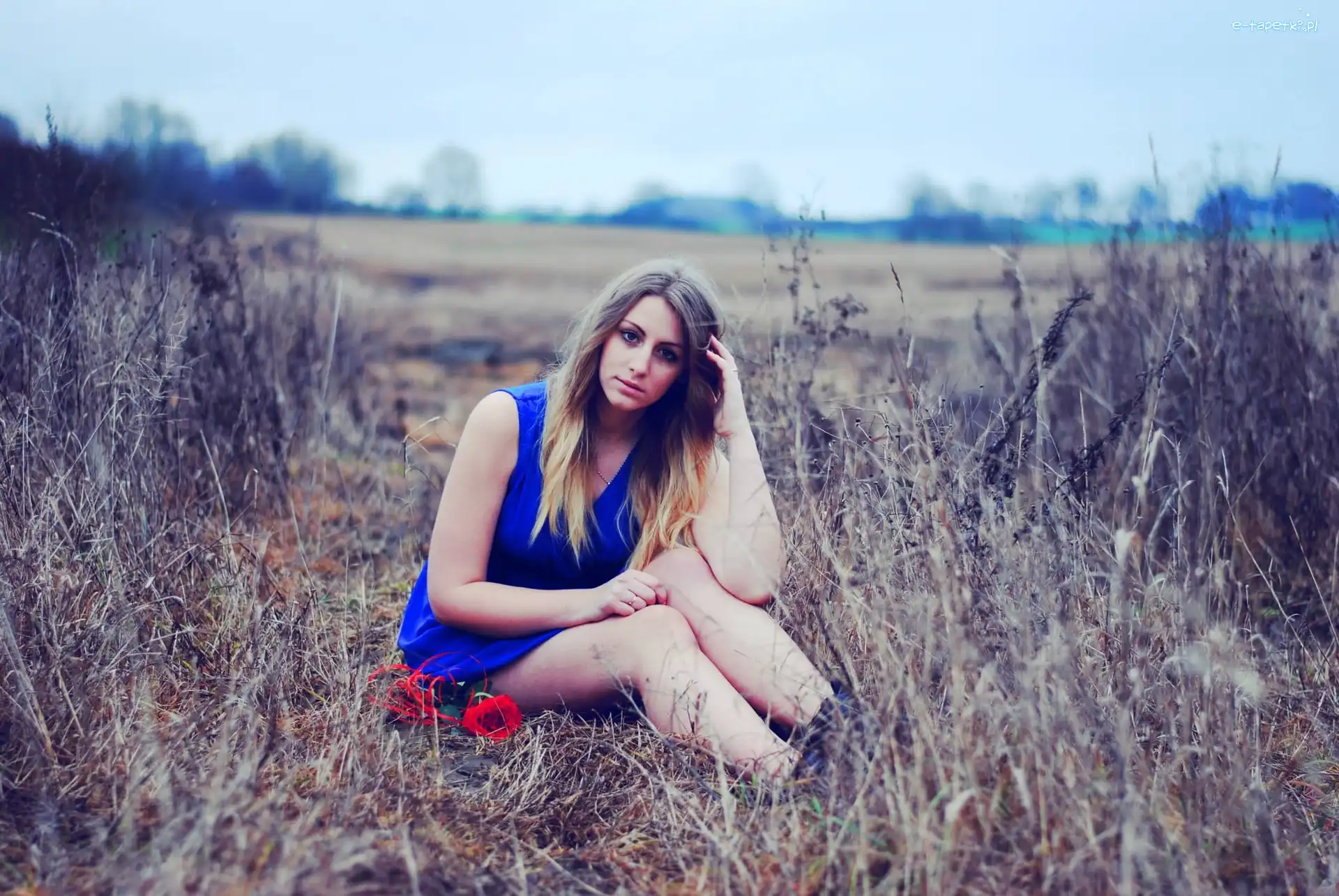 Blondynka, Róża, Czerwona, Kobieta