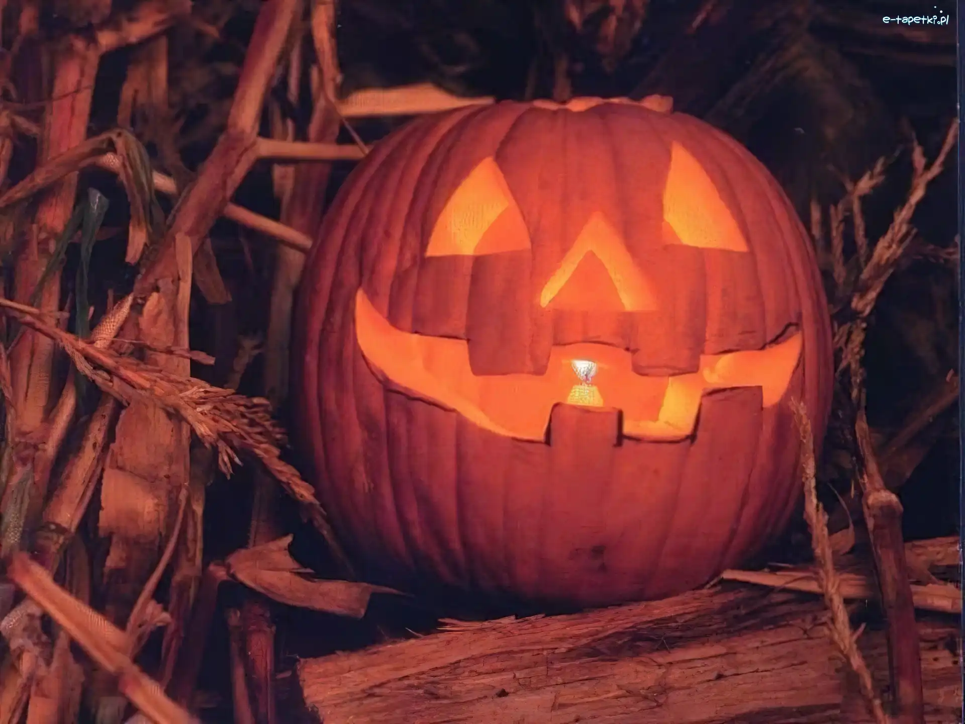 dynia, Halloween