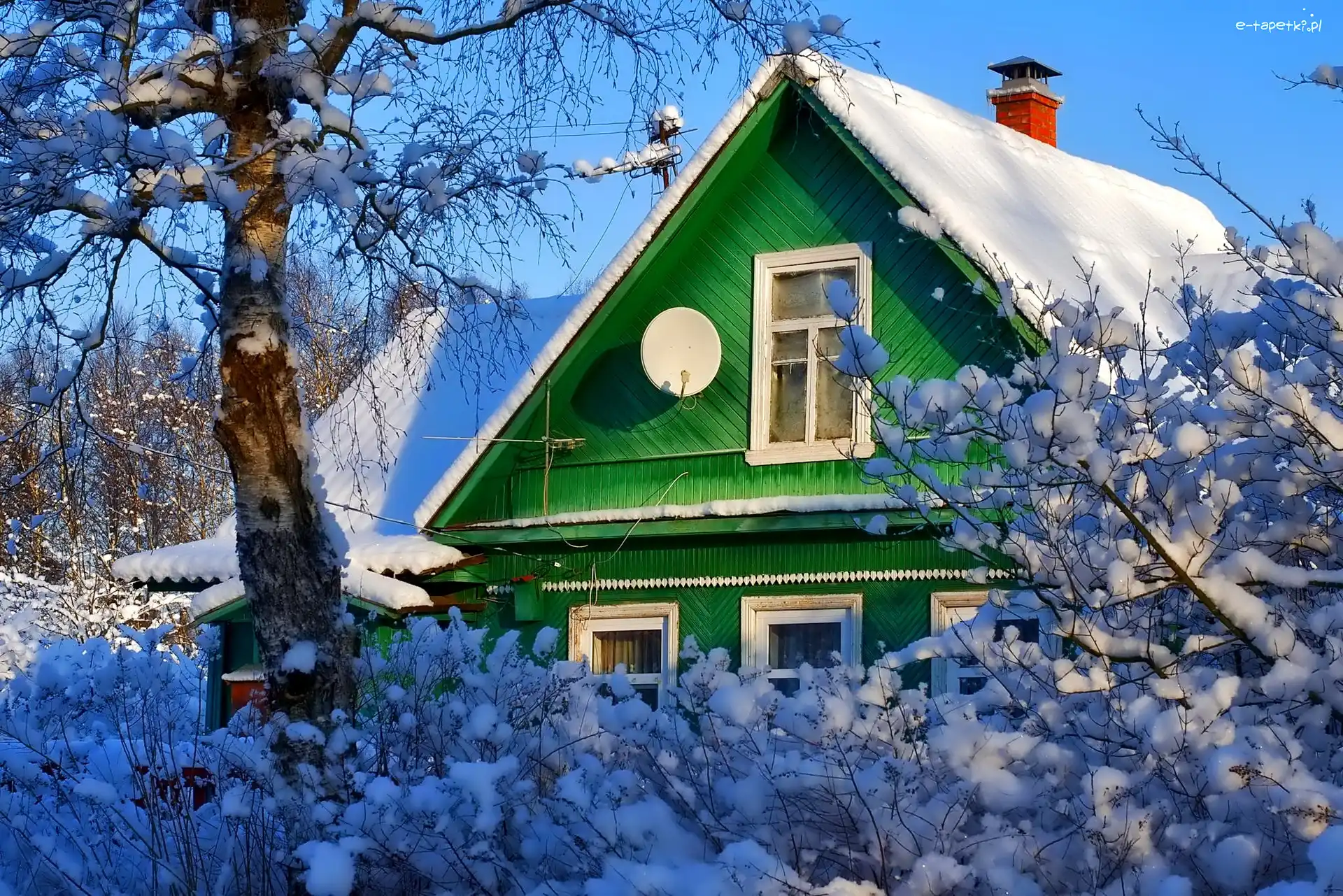 Zima, Domek, Zielony, Krzewy, Ośnieżone
