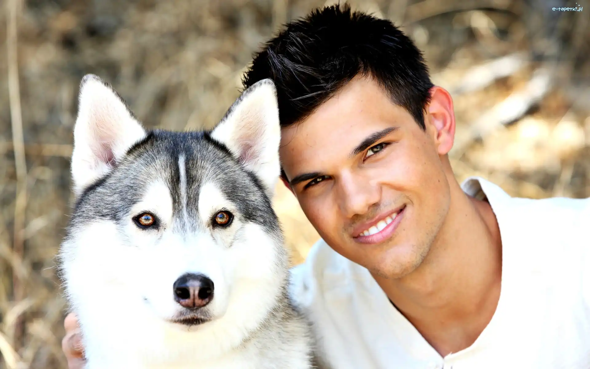 Uśmiech, Psa, Głowa, Taylor Lautner