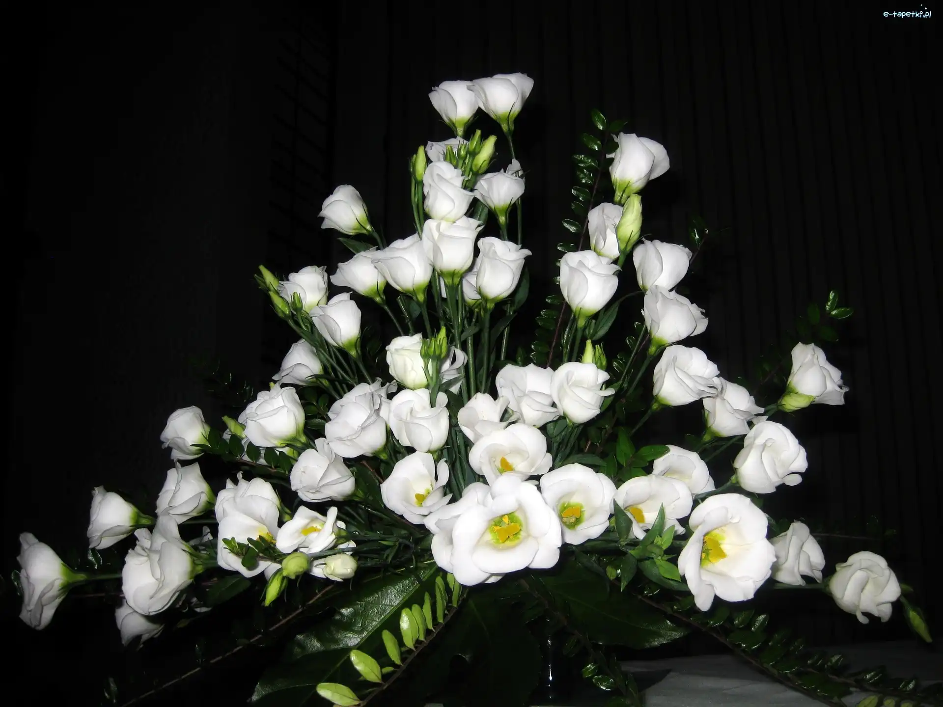 Eustoma, Kompozycja, Bukiet, Biała