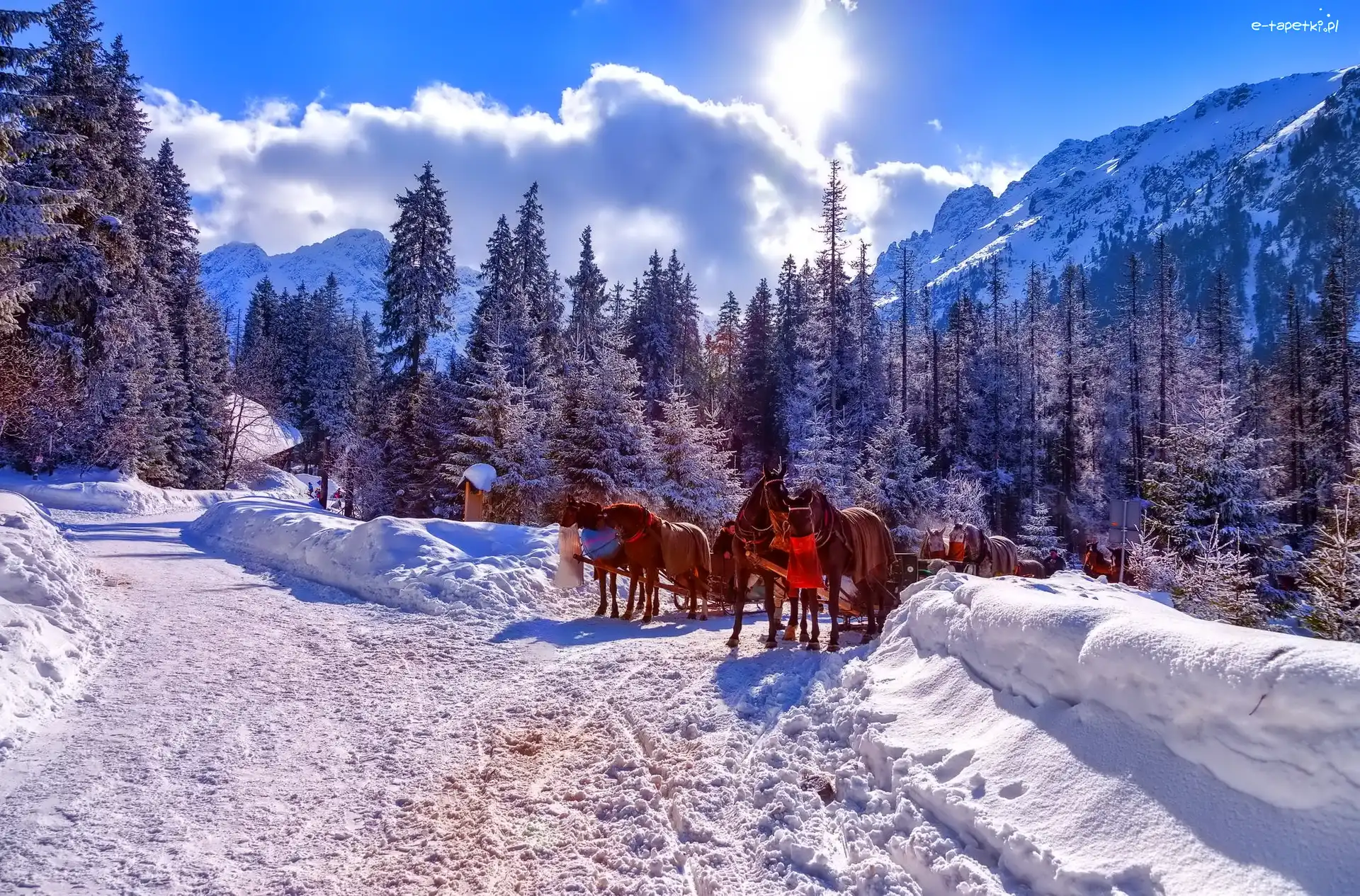 Tatry, Konie, Zaprzęg, Polska, Zima, Góry