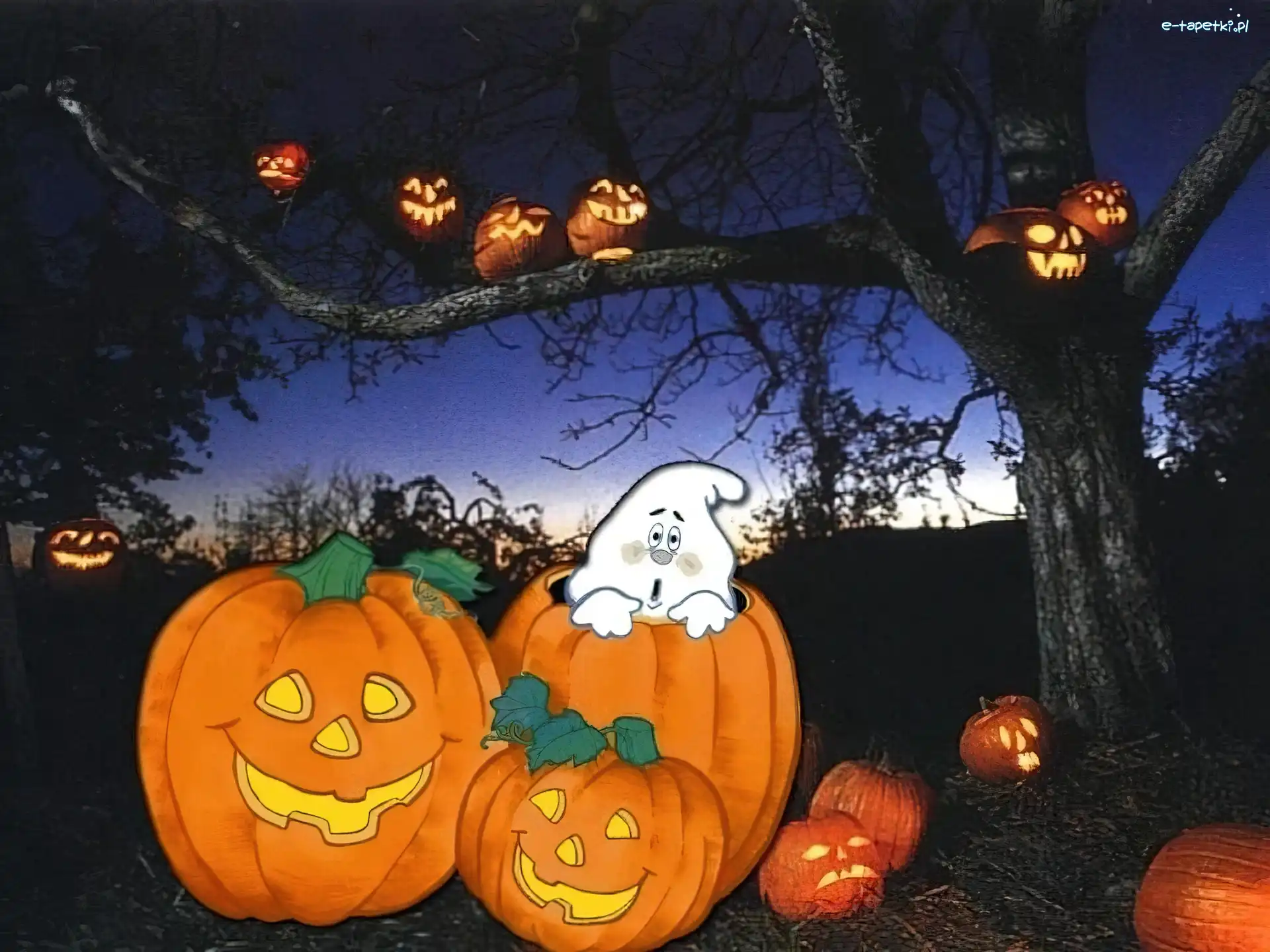 dynie, duszek , Halloween