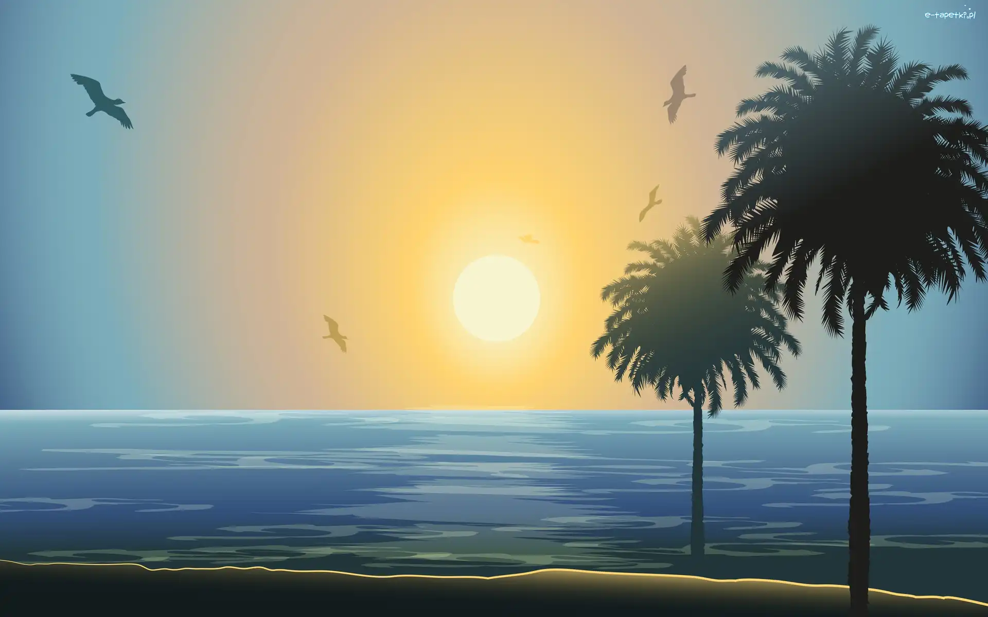 2D, Palmy, Ptaki, Plaża, Morze, Słońca, Zachód