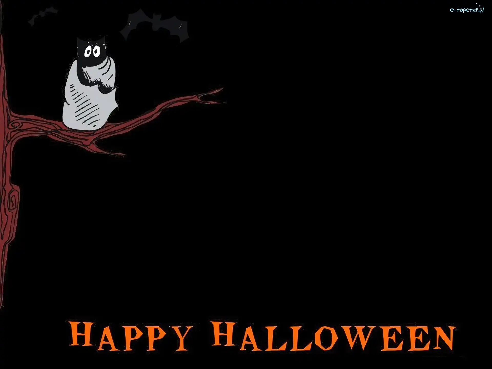 sowa, Halloween