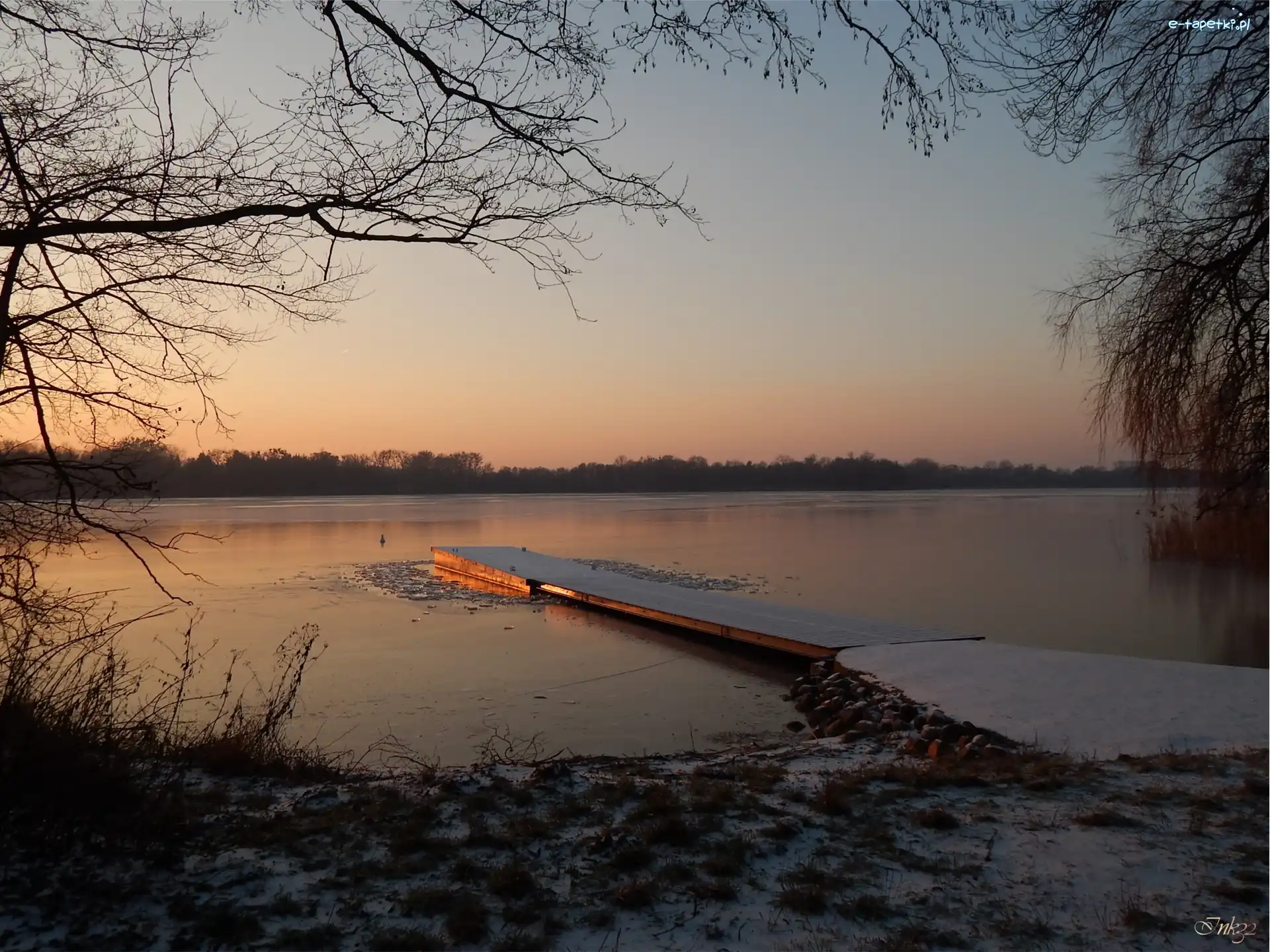 Jezioro, Zachód, Pomost, Gałęzie, Słońca