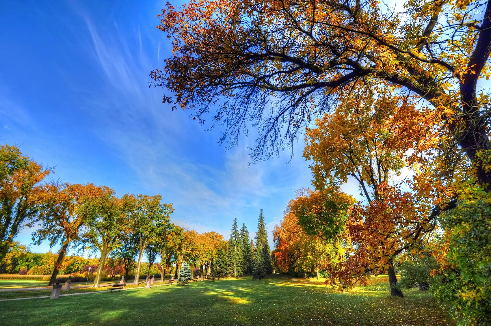Park, Niebo, Drzewa, Jesień
