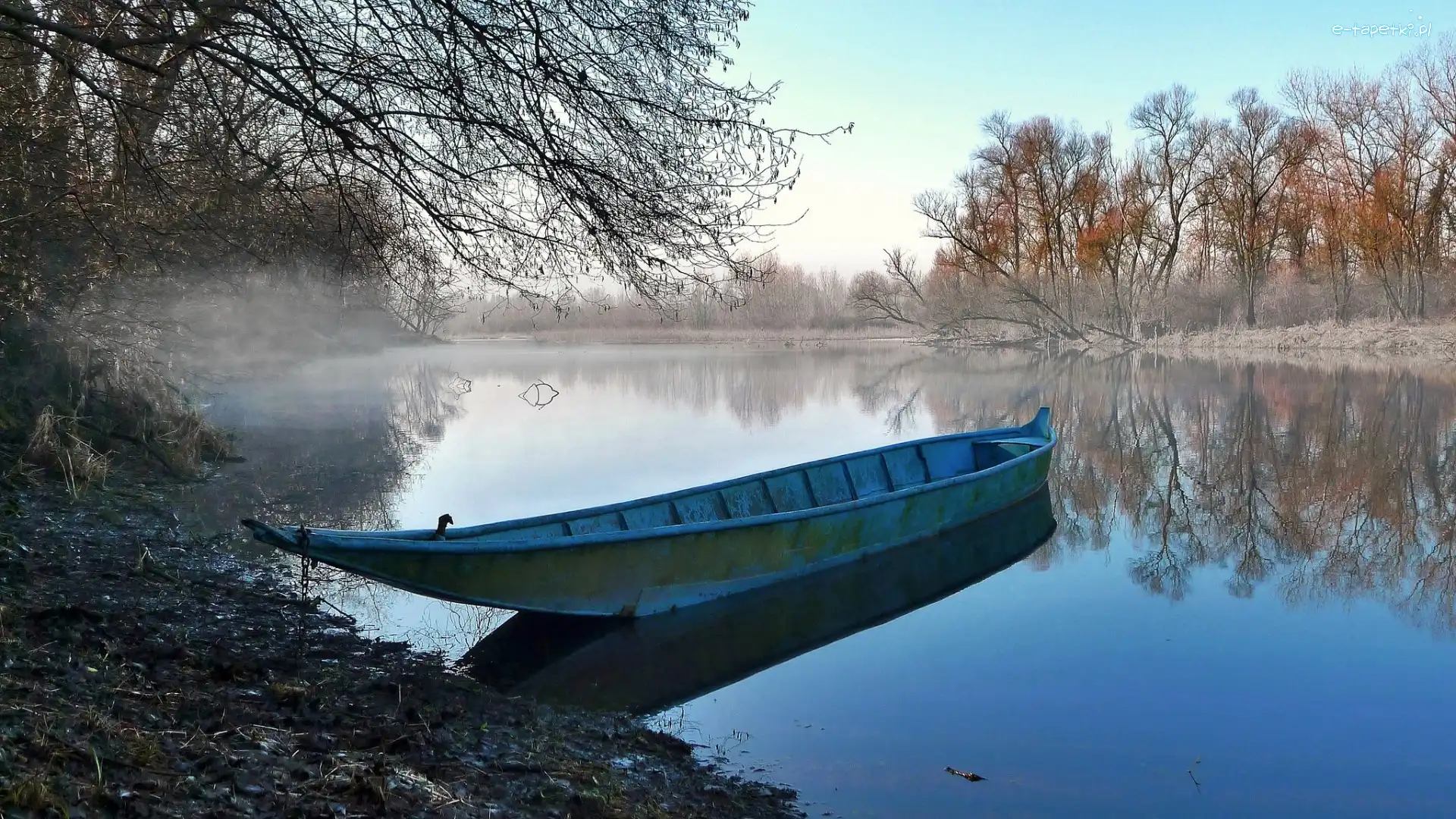 Rzeka, Las, Łódz, Jesień, Mgła