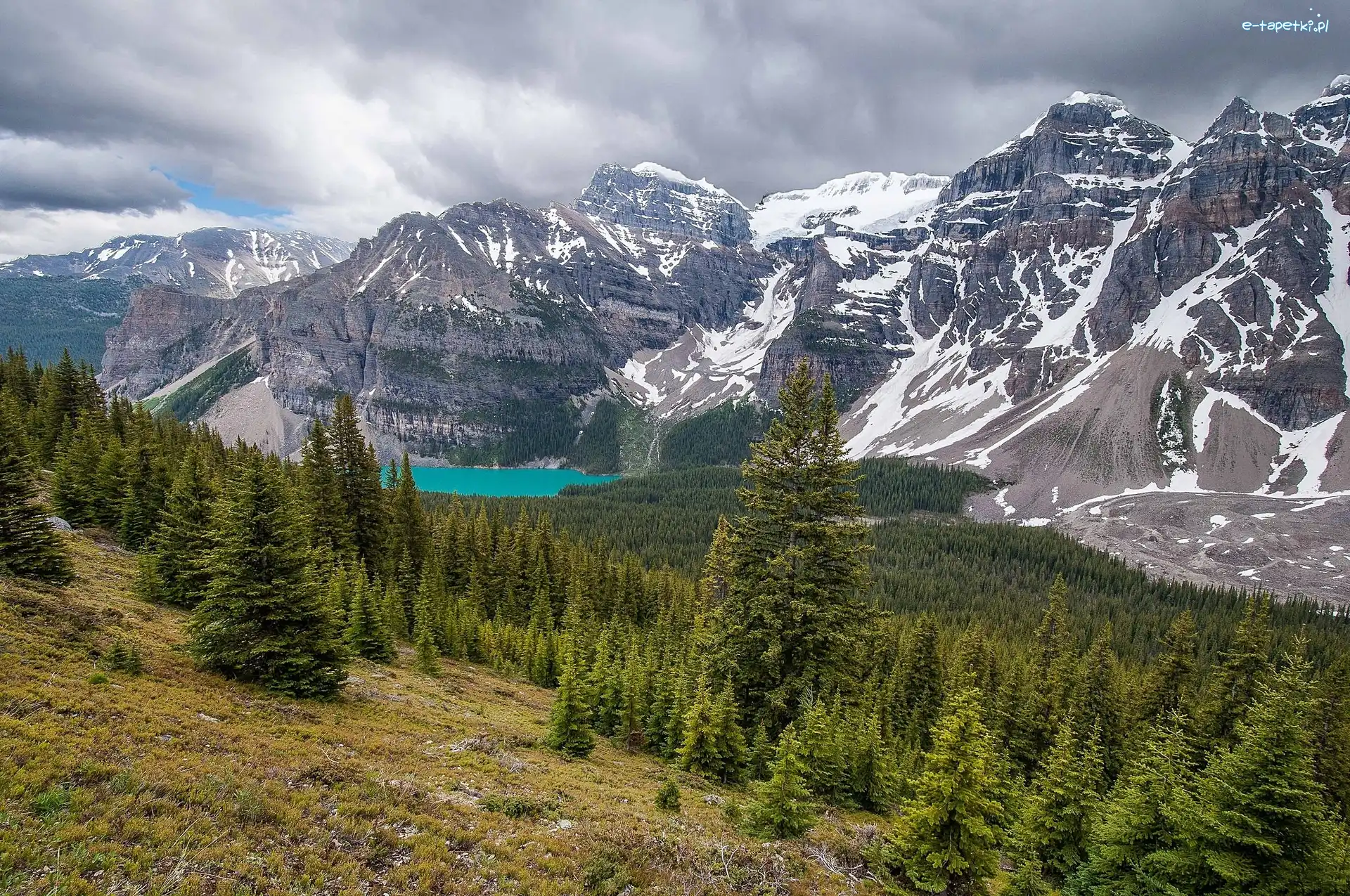 Góry, Jezioro Moraine, Dolina Dziesięciu Szczytów, Park Narodowy Banff, Kanada, Szczyty, Drzewa, Dolina Valley of the Ten Peaks, Lasy