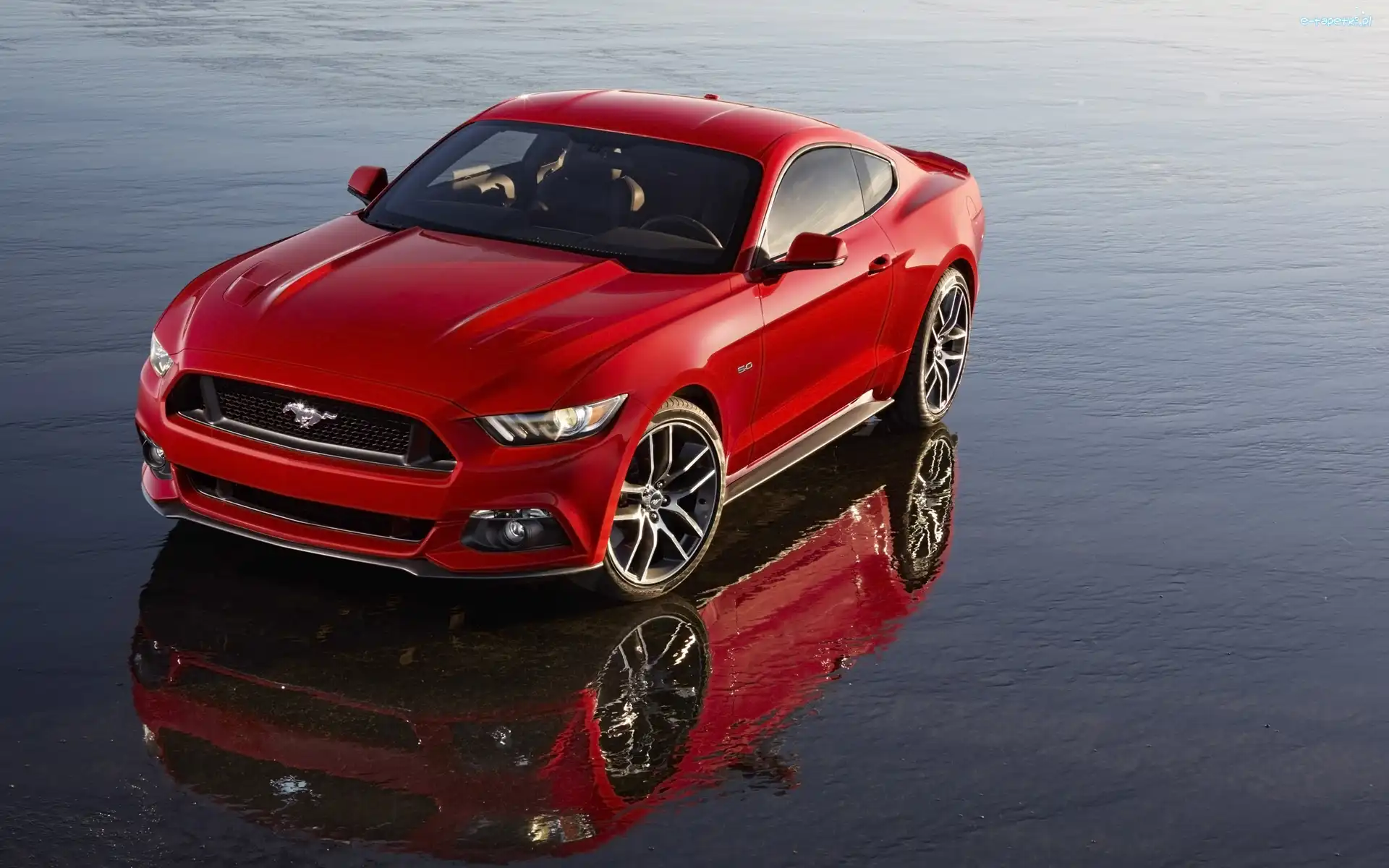 Mustang, Ford, Czerwony