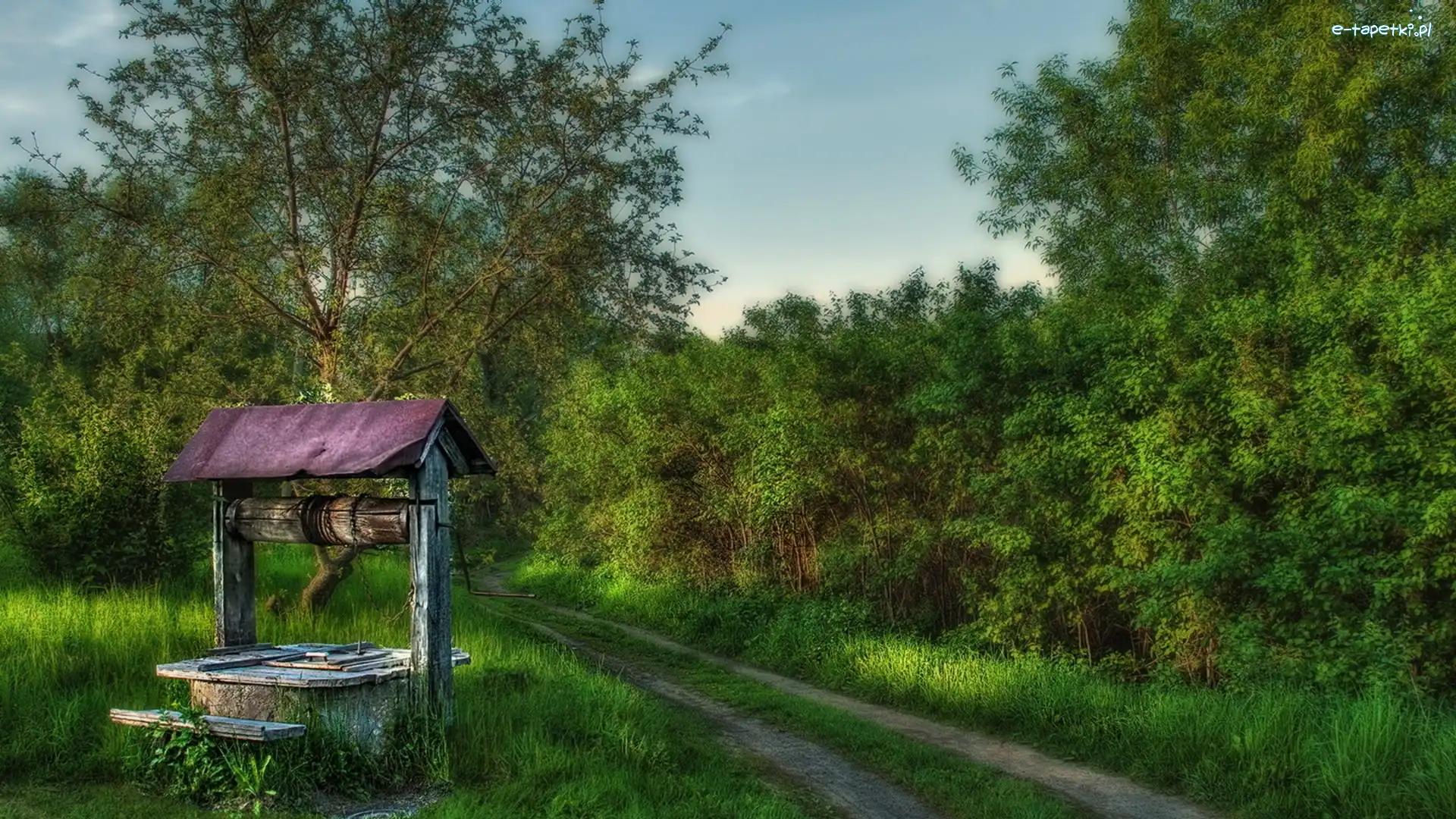 Drzewa, Ścieżka, Studnia