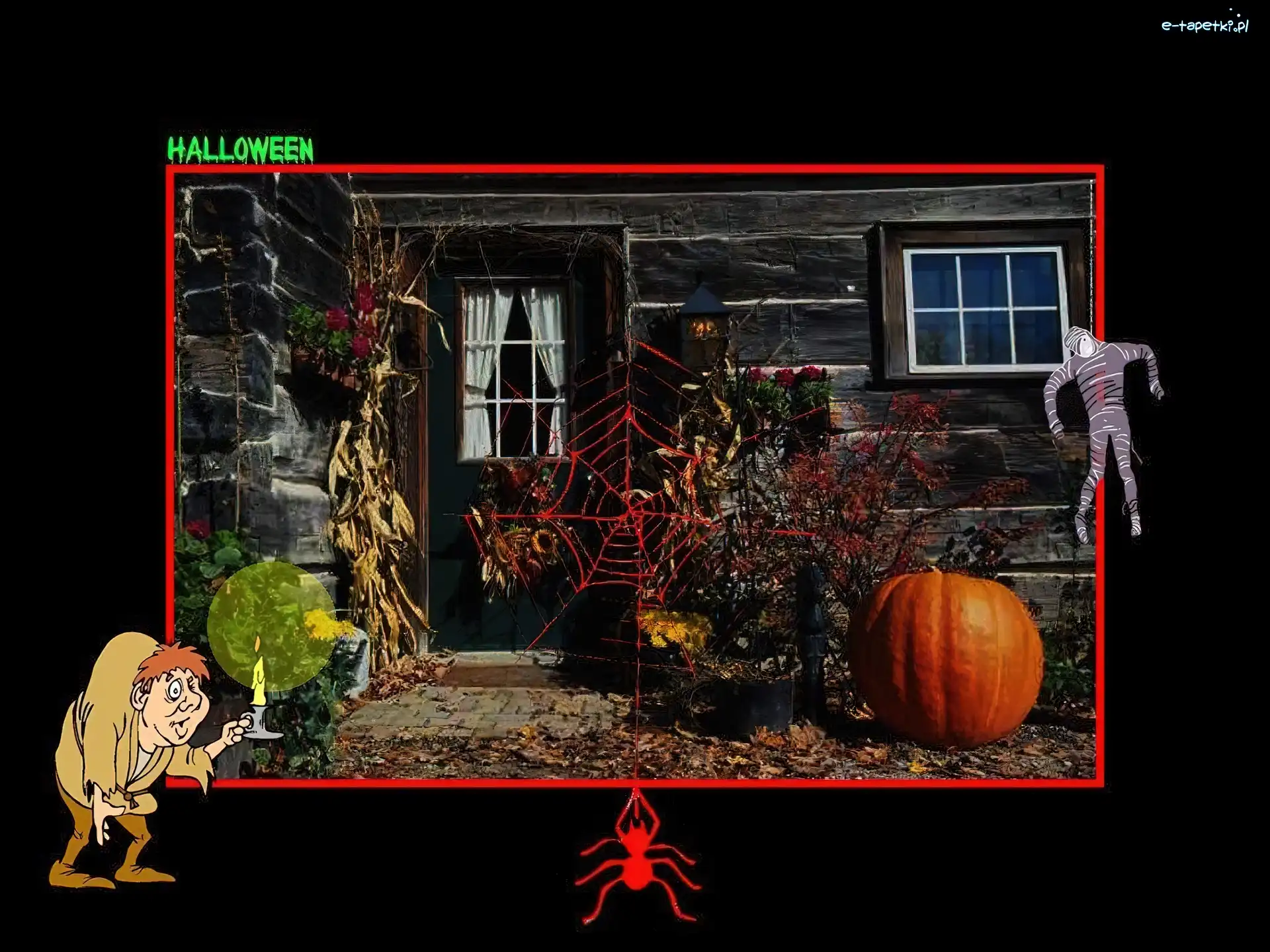 domek, pajęczyna , Halloween