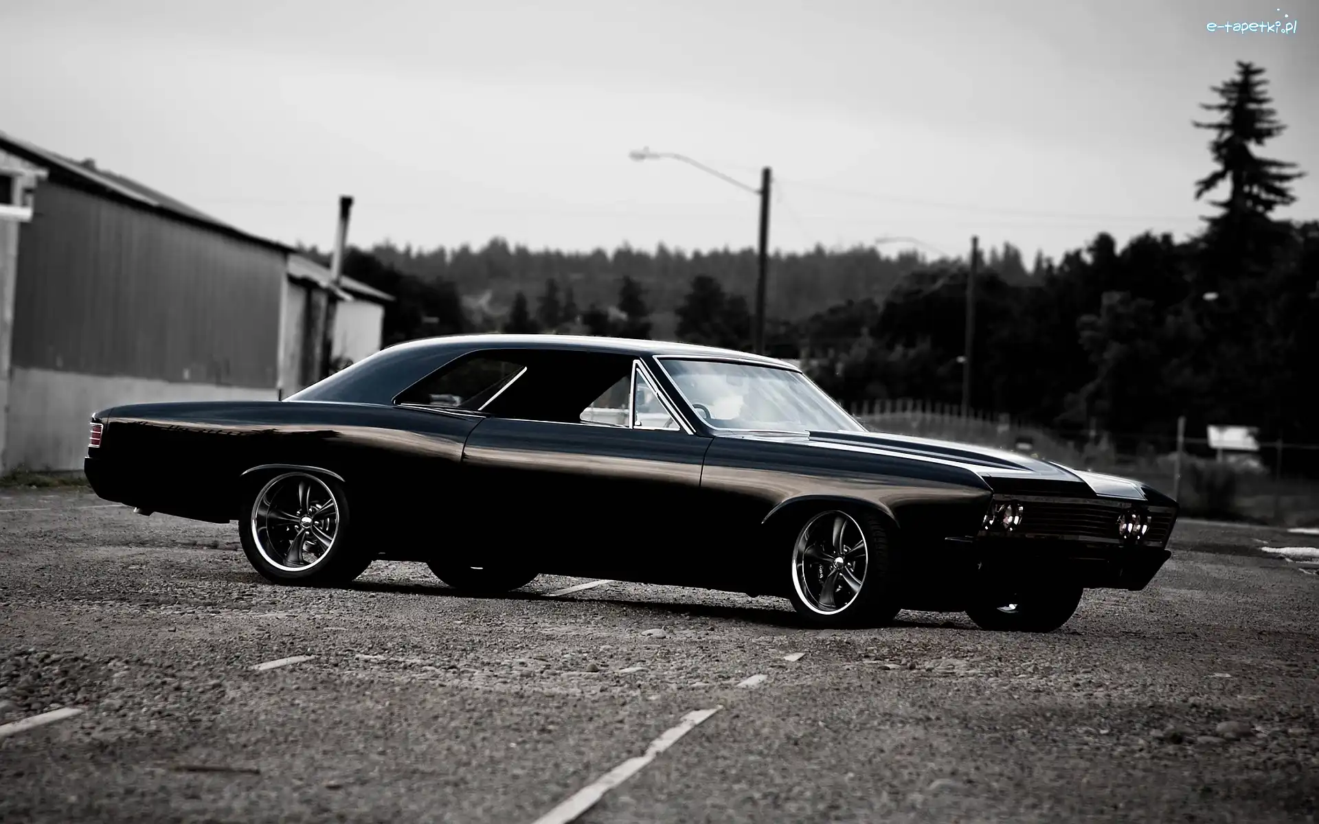 1967, Chevelle, Chevrolet