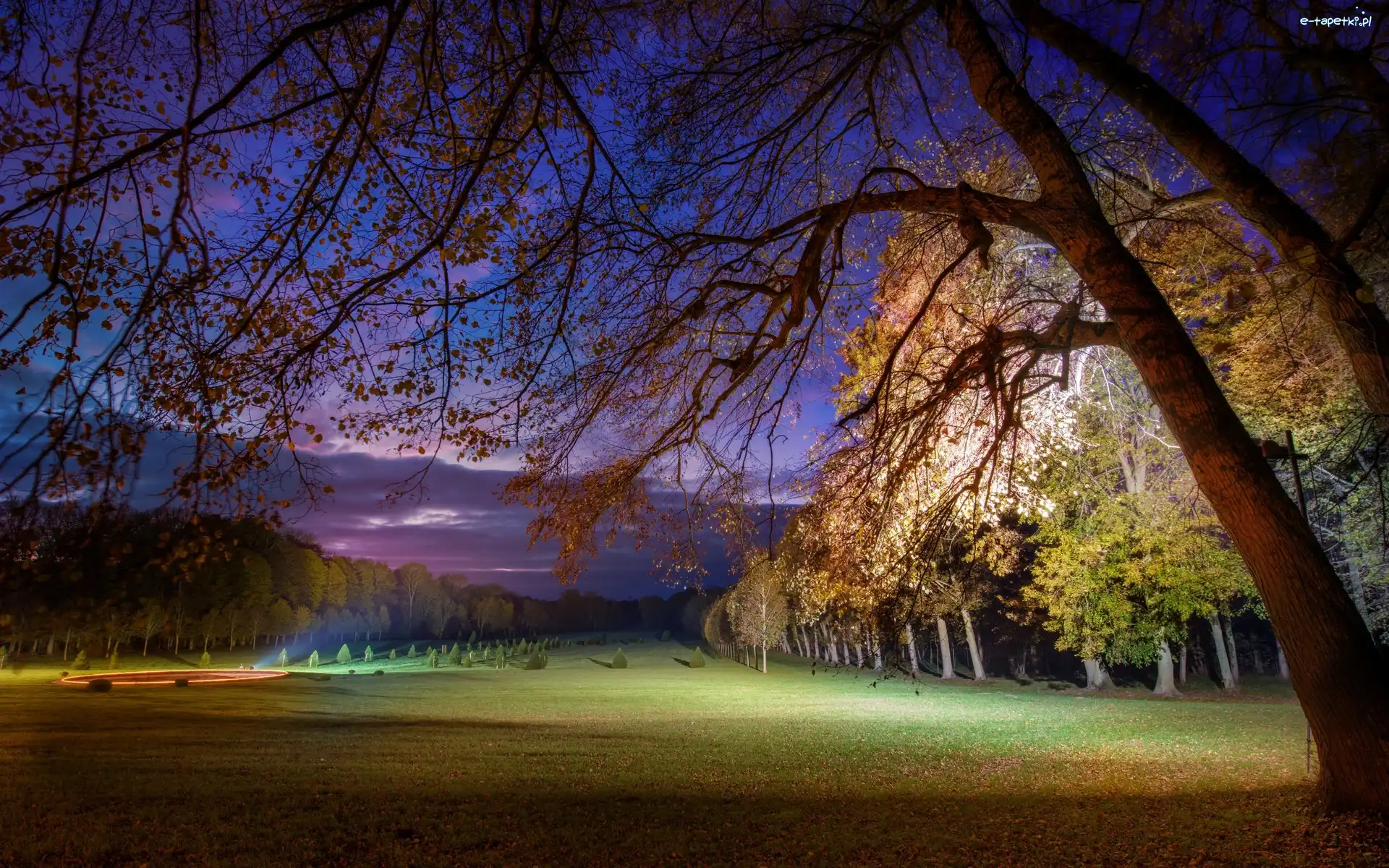 Liście, Drzewa, Światło, Jesień, Łąka, Park
