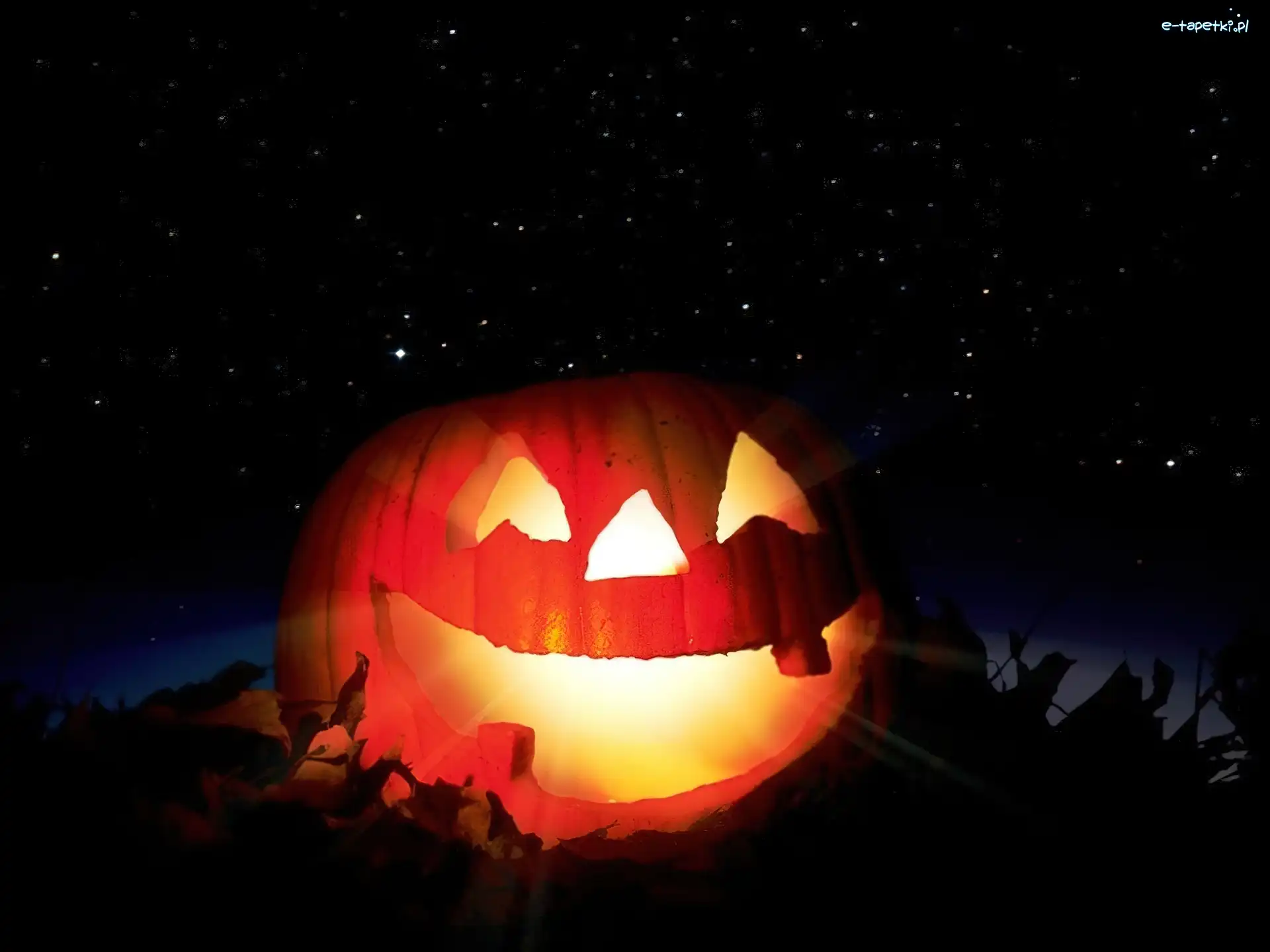 dynia, Halloween