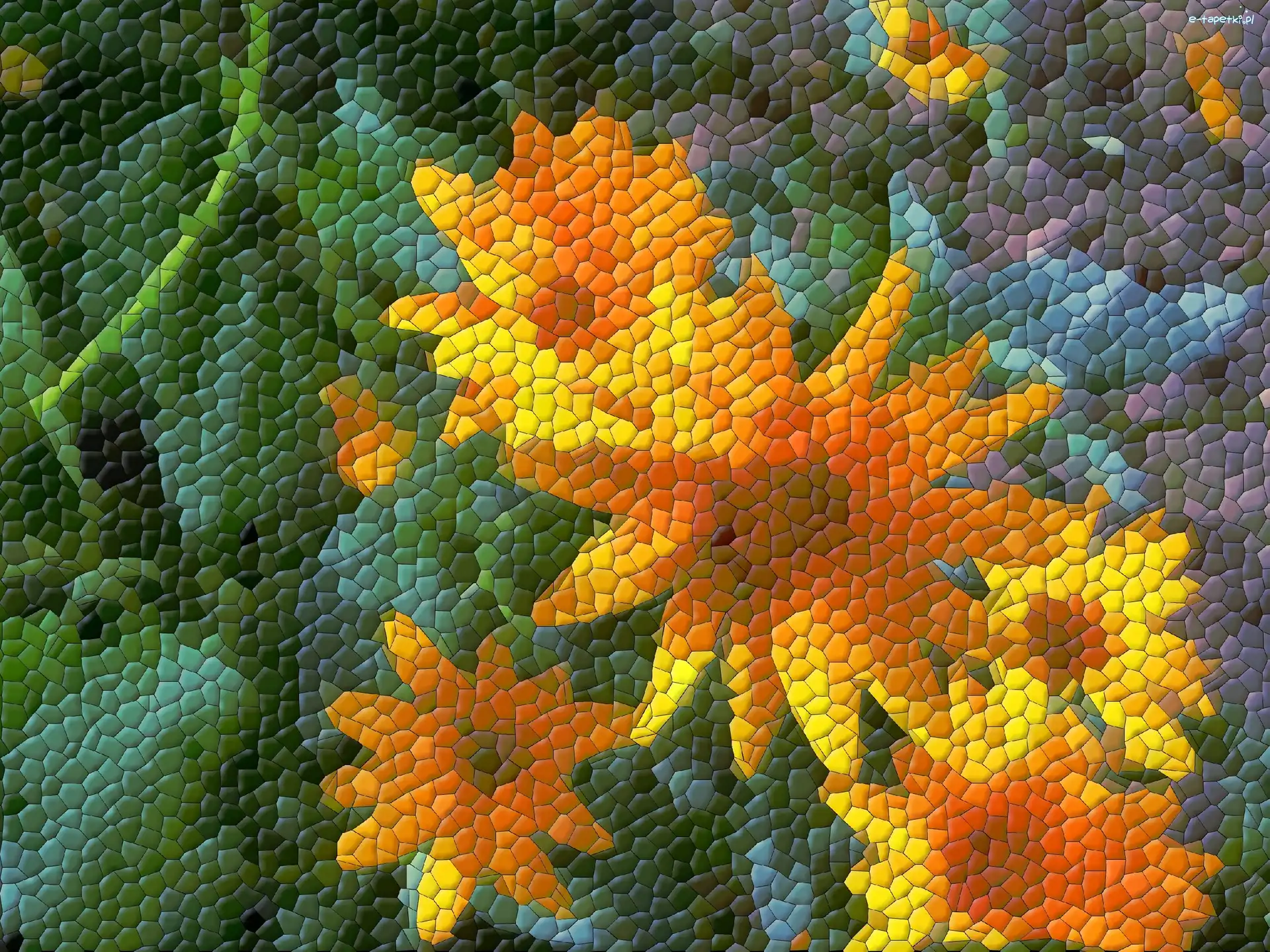 Pomarańczowe, Grafika, Kwiaty, 2D, Komputerowa