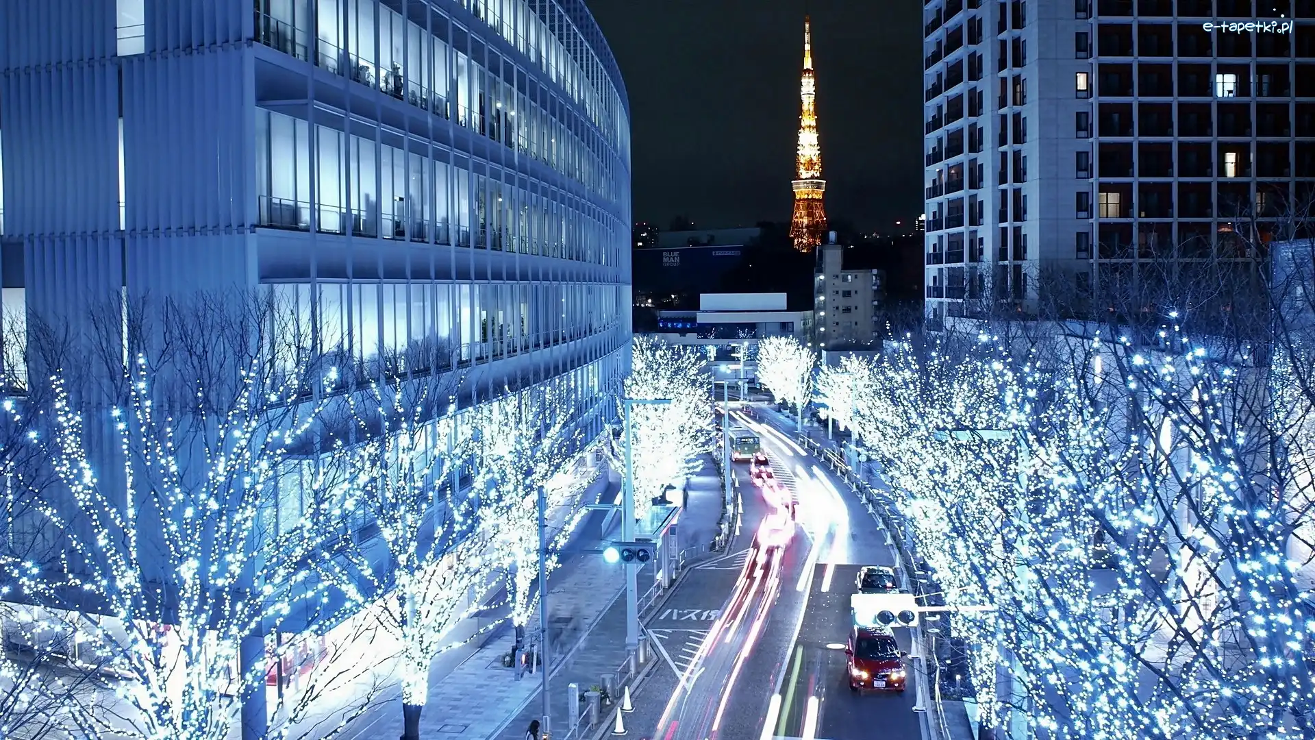 Tokio, Drzewa, Nocą, Dekoracja, Świąteczna