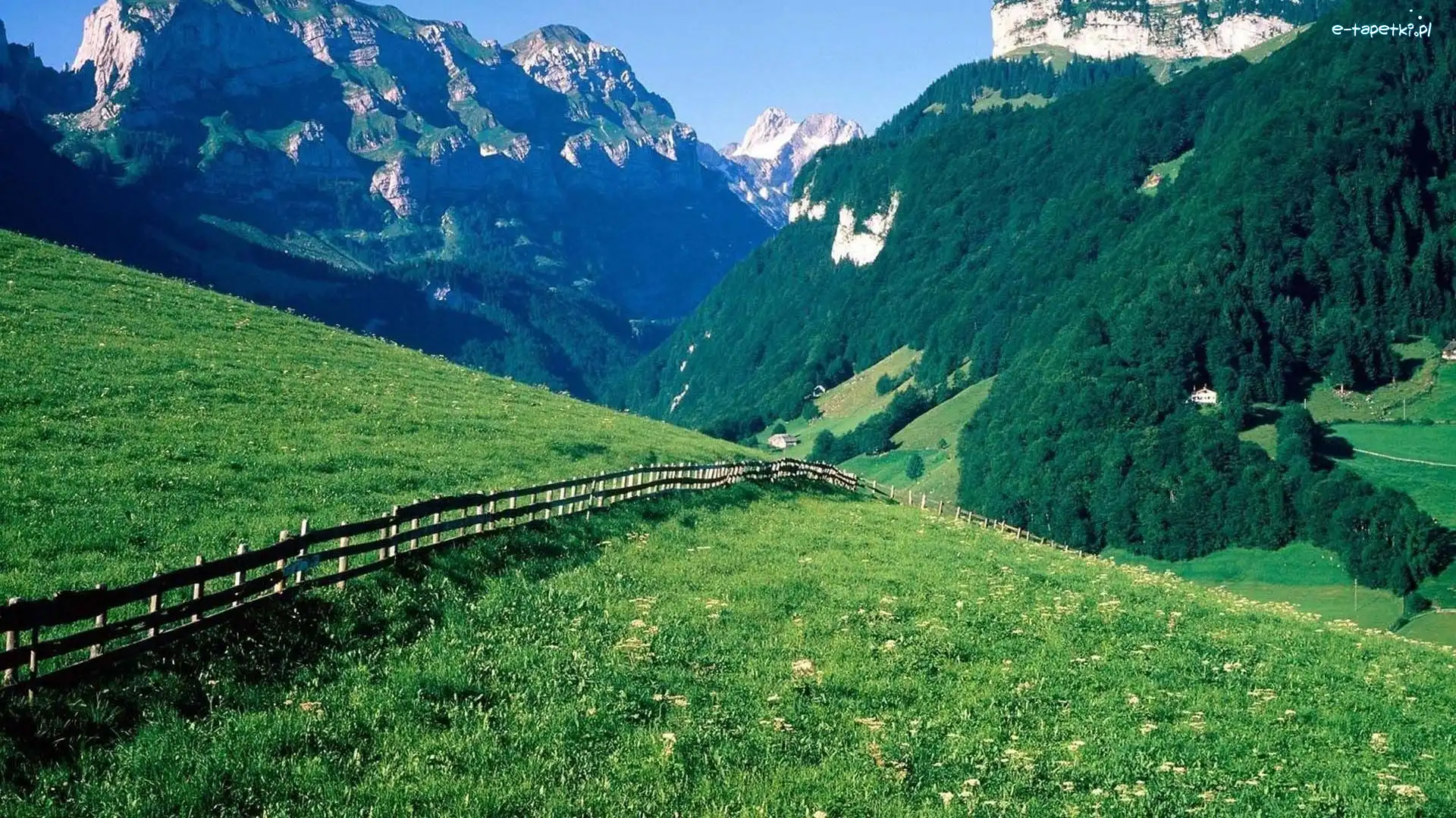 Alpy, Łąka, Ogrodzenie, Szwajcaria, Las, Góry