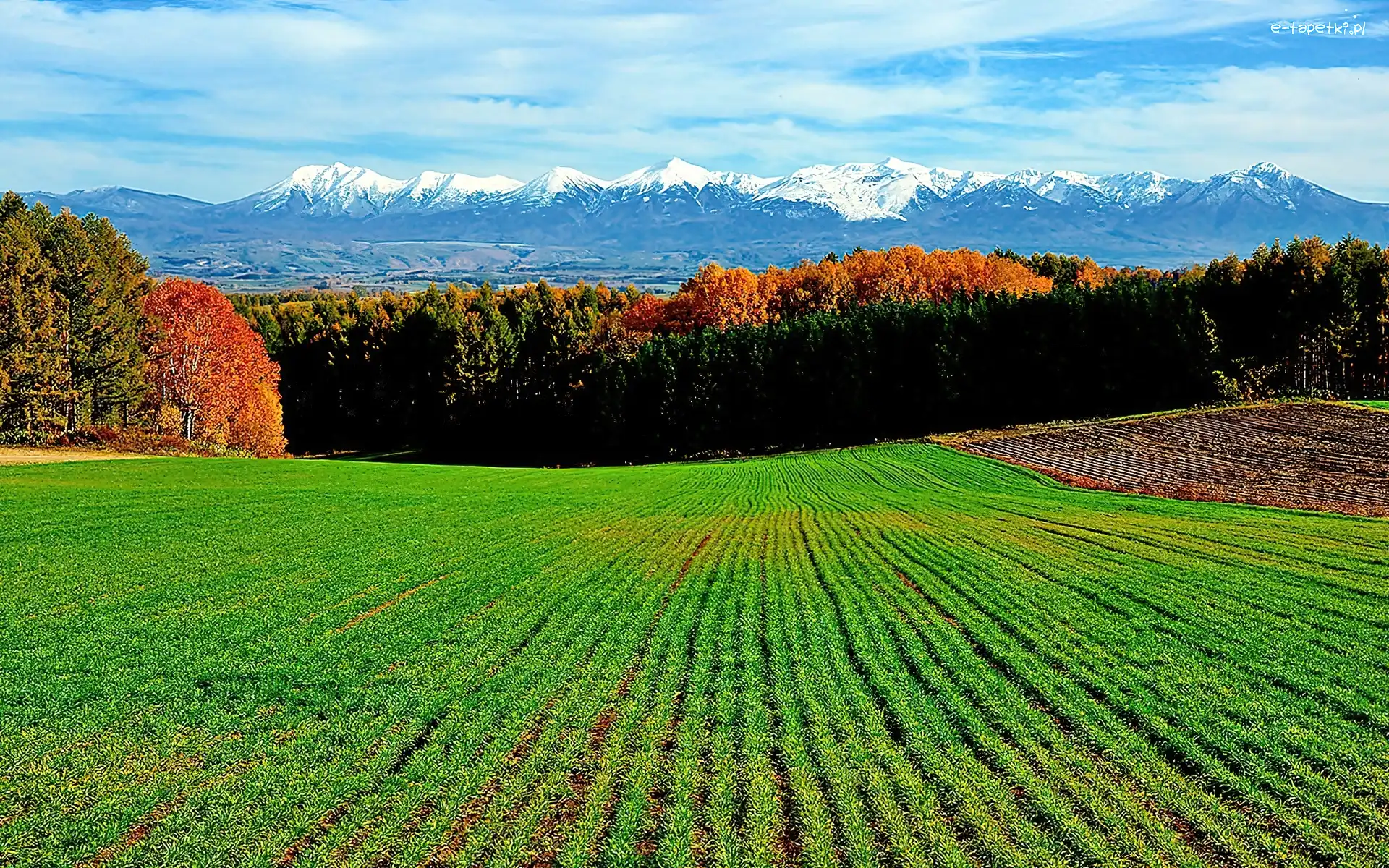 Pola, Lasy, Góry