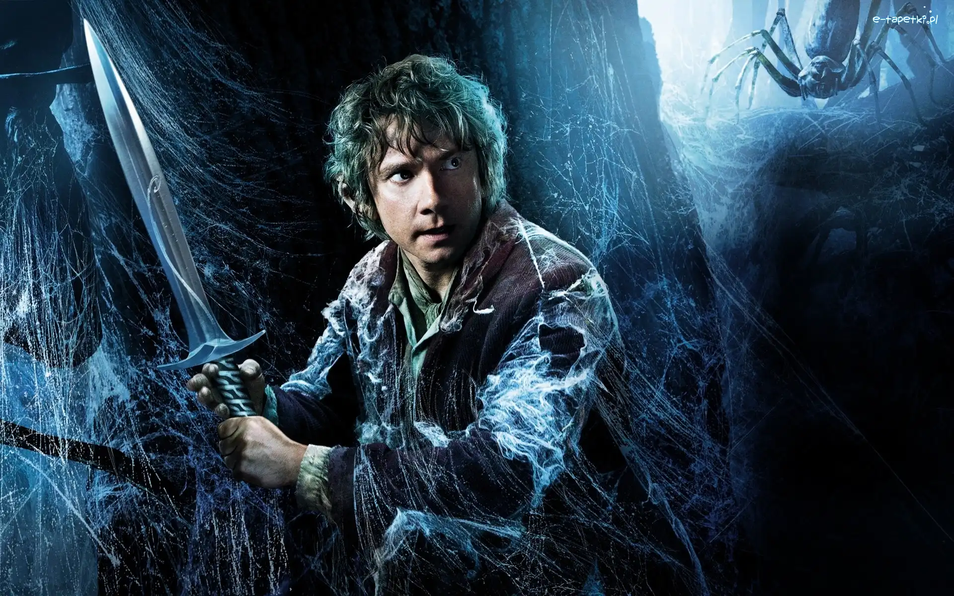 Miecz, Martin Freeman, Bilbo Baggins, Pajęczyna, The Hobbit: The Desolation of Smaug, Hobbit: Pustkowie Smauga