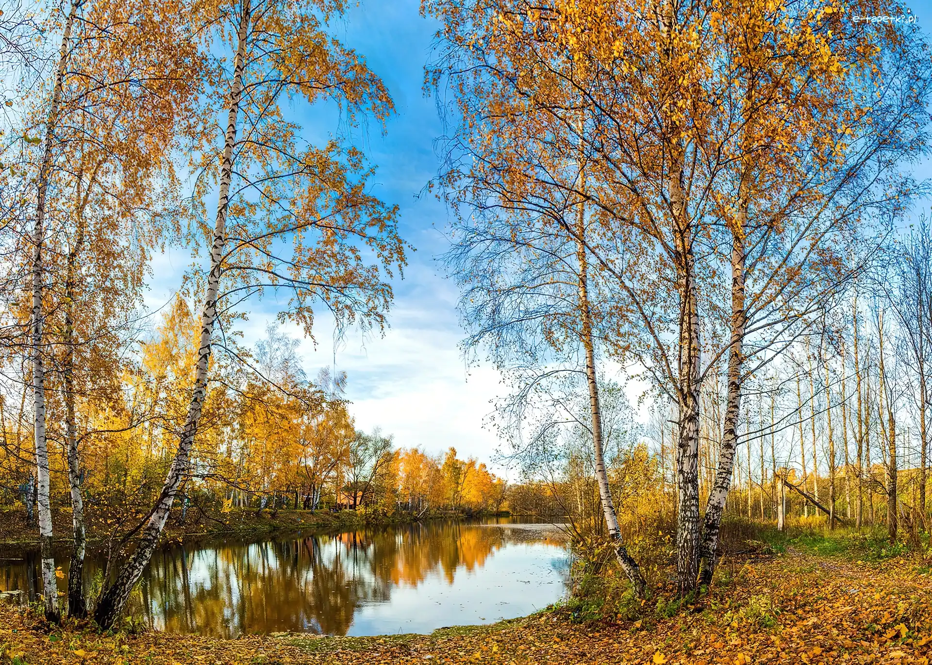 Jeziorko, Zagajnik, Brzozowy
