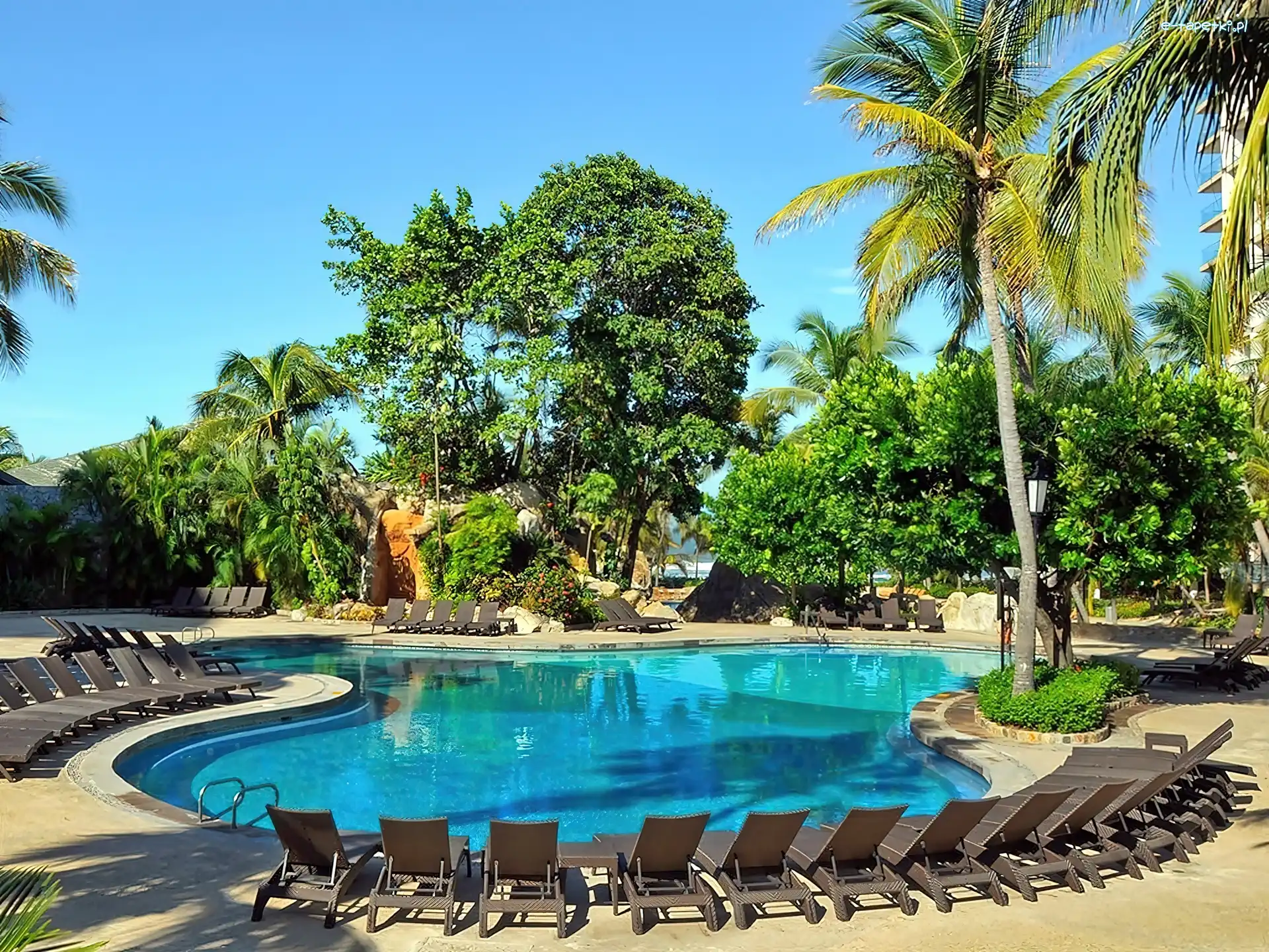 Basen, Ogród, Hotelowy, Acapulco