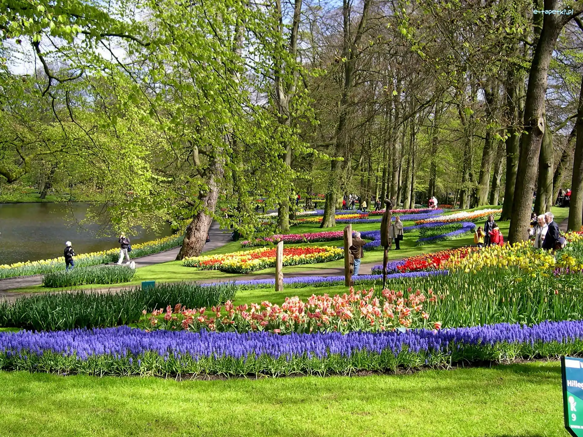 Gazony, Spacerowicze, Kwiatowe, Park