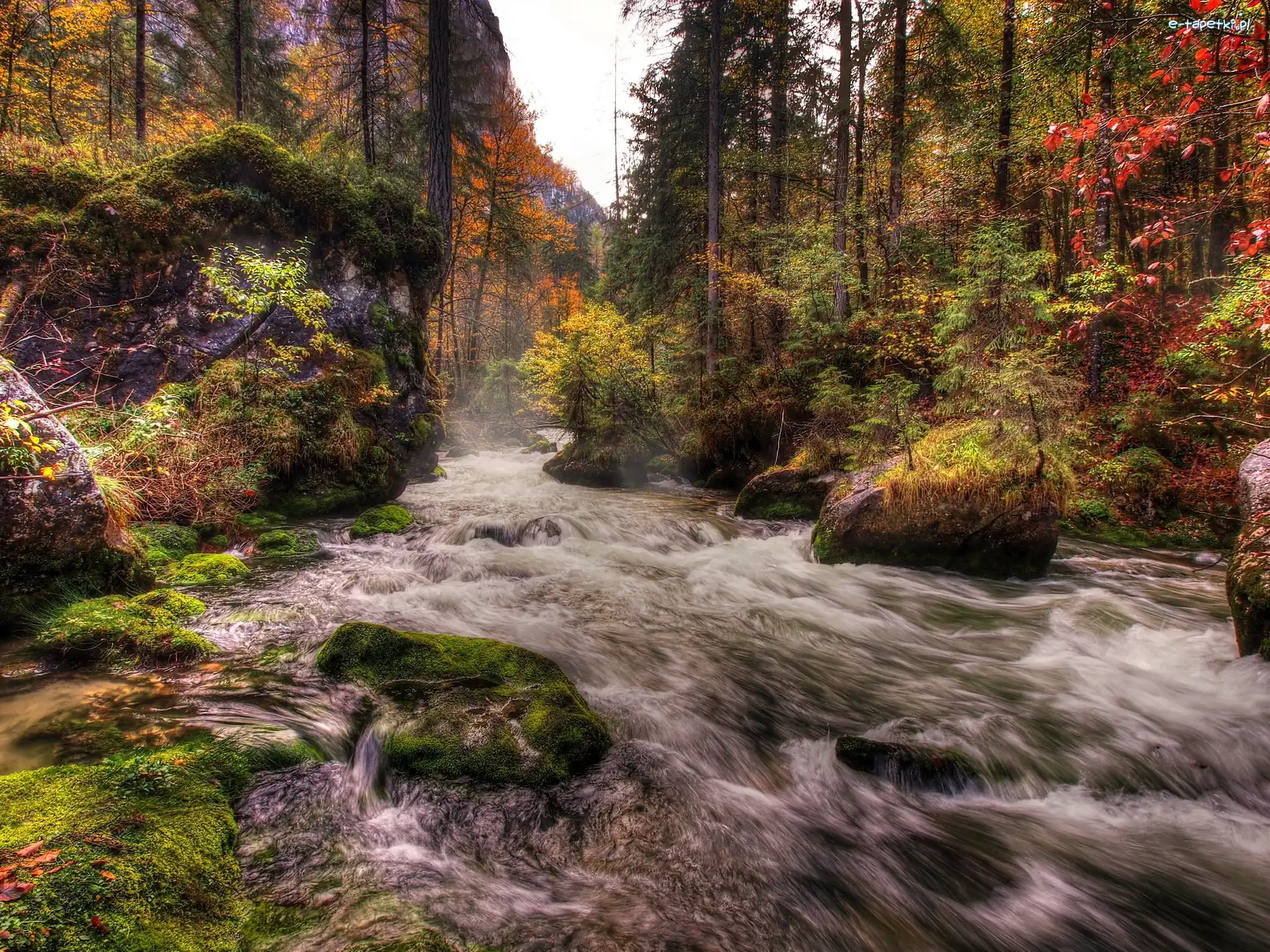Kamienie, Rzeka, Las