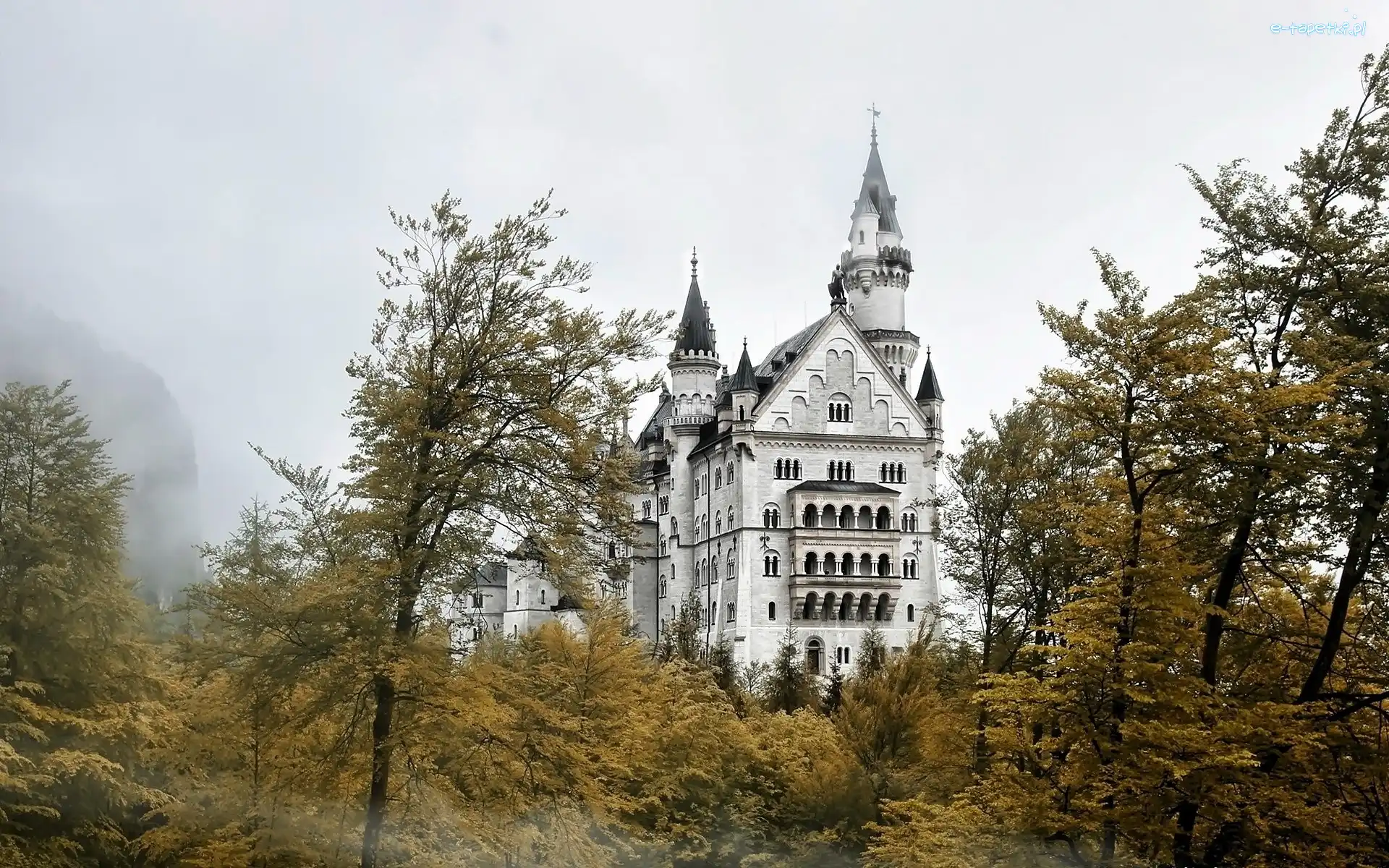 Zamek, Jesień, Neuschwanstein, Mgła, Las
