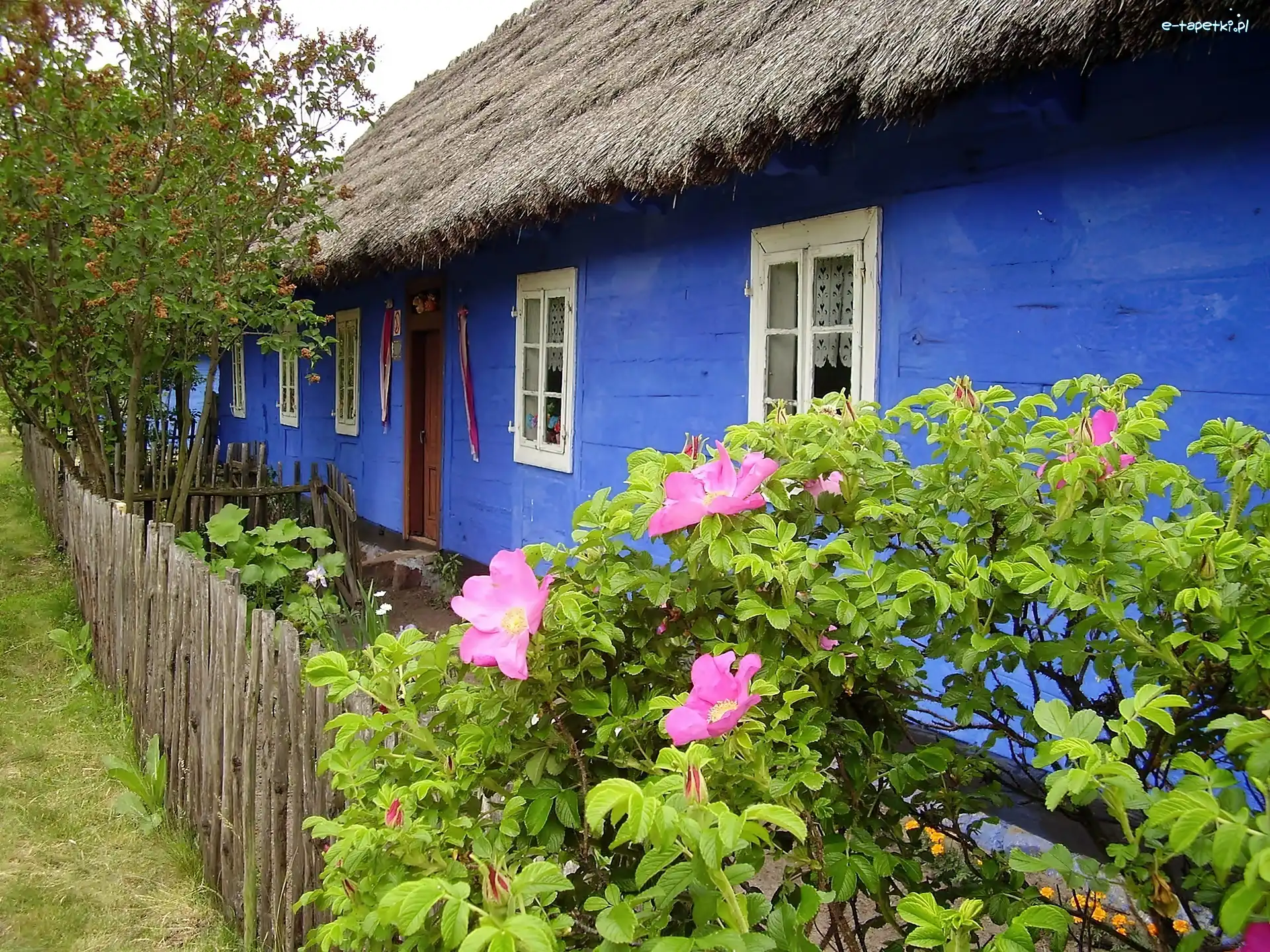Skansen, Wiejska, Łowicki, Ogródek, Chata