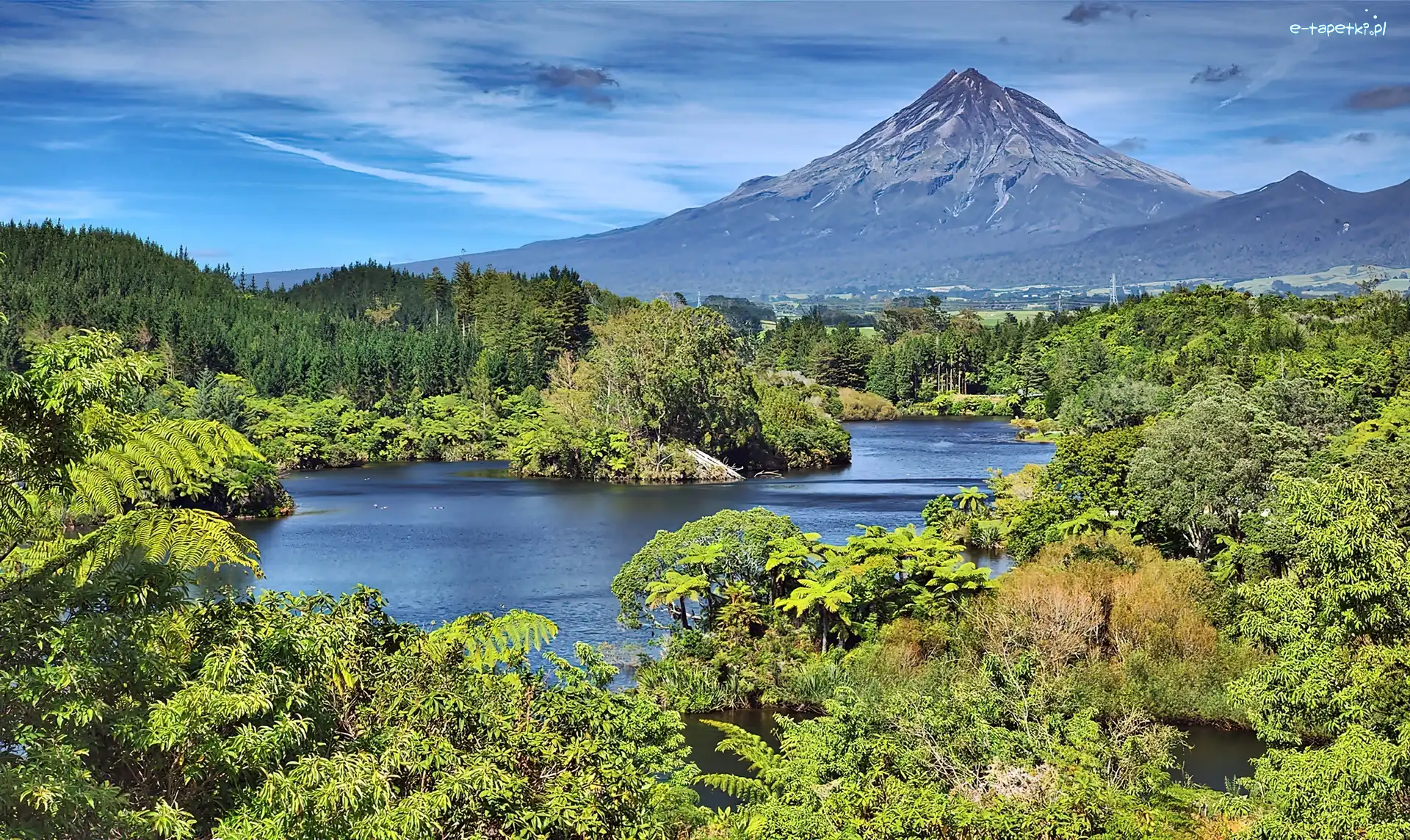 Las, Góra, Jezioro, Lato, Taranaki