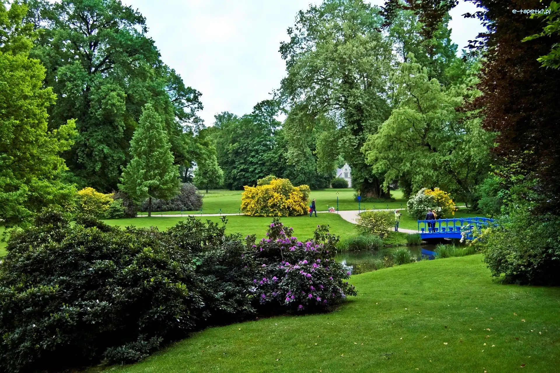 Mostek, Park